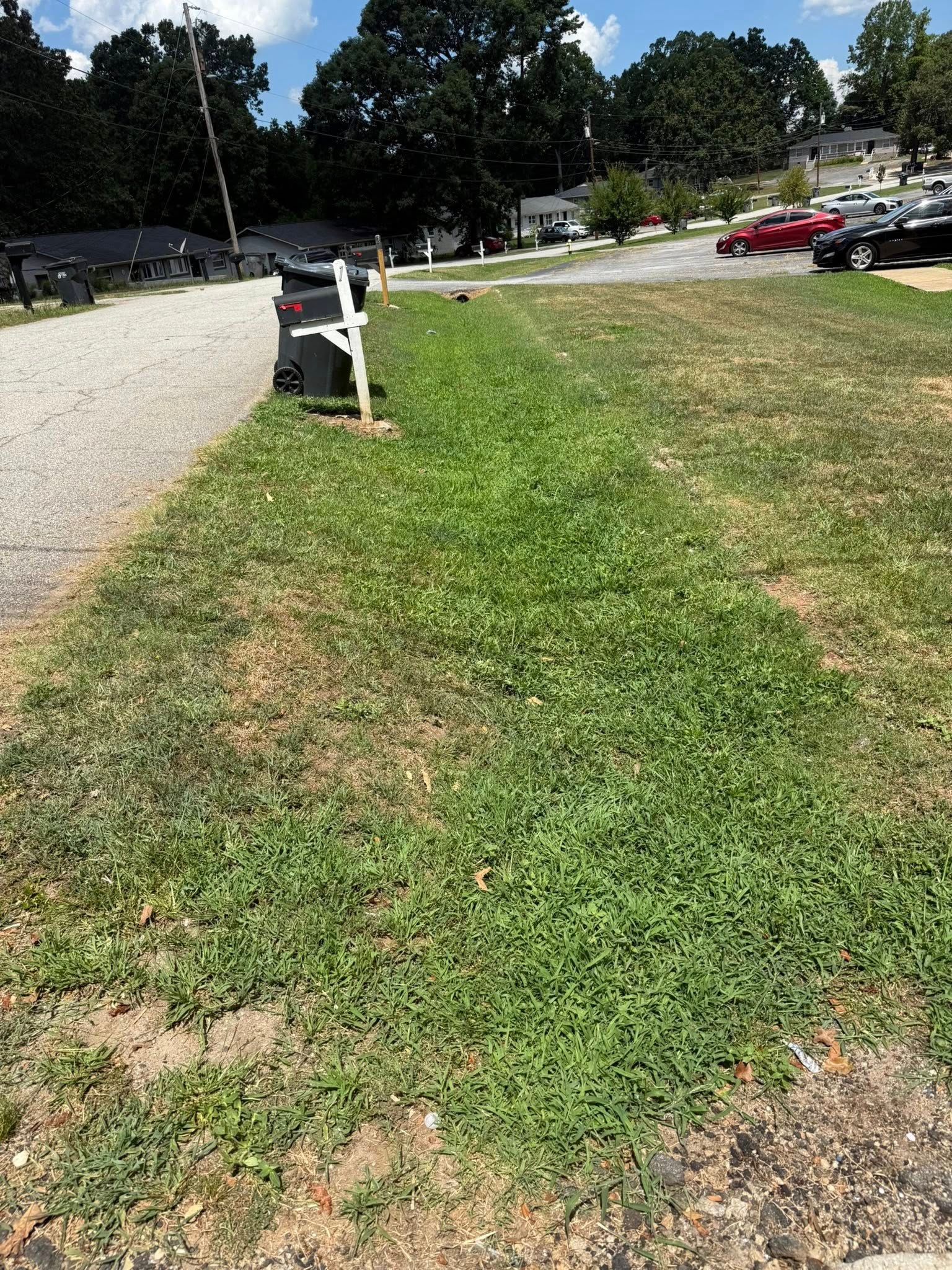 Grassy strip beside a driveway with a black mailbox, leading toward a street with parked cars and houses.