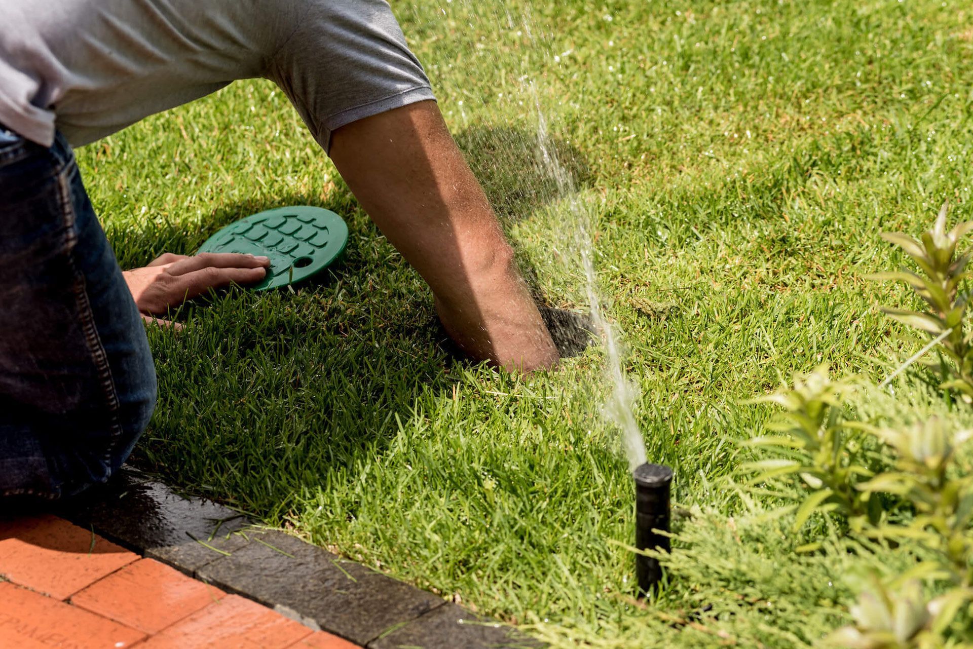 Person adjusting an in-ground lawn sprinkler. Sprinkler sprays water onto green grass, near a brick edge.