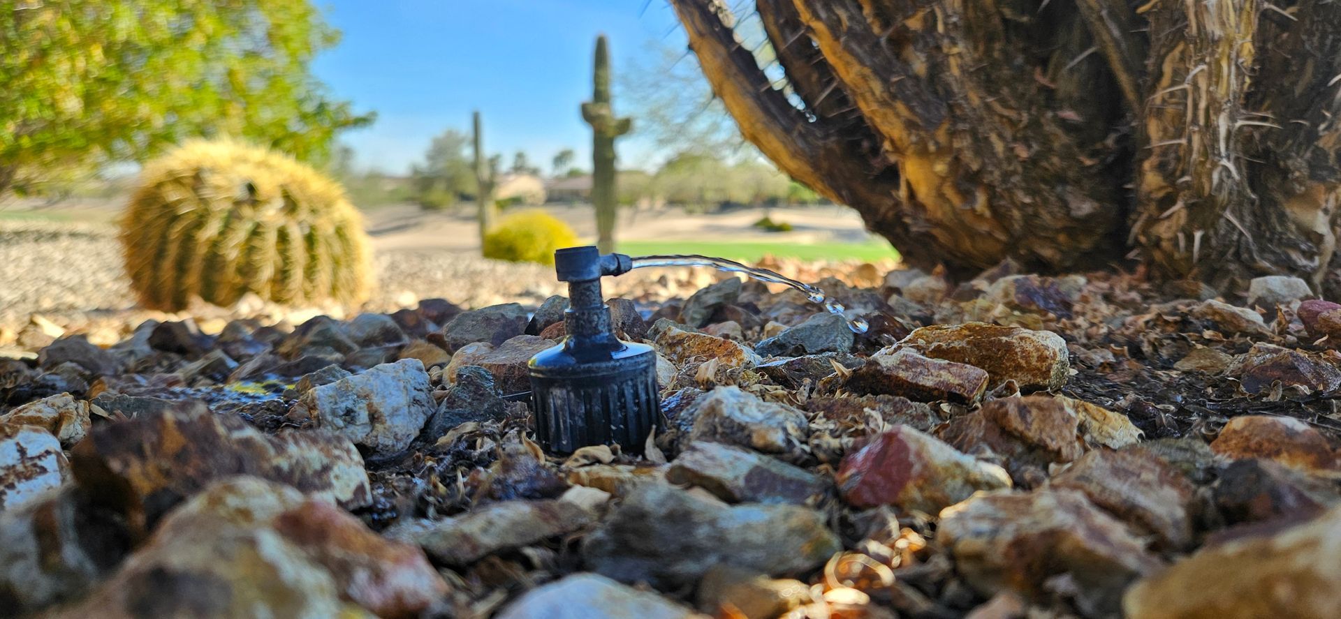 Irrigation sprinklers watering a field of crops; brown soil, green plants, and distant hills.