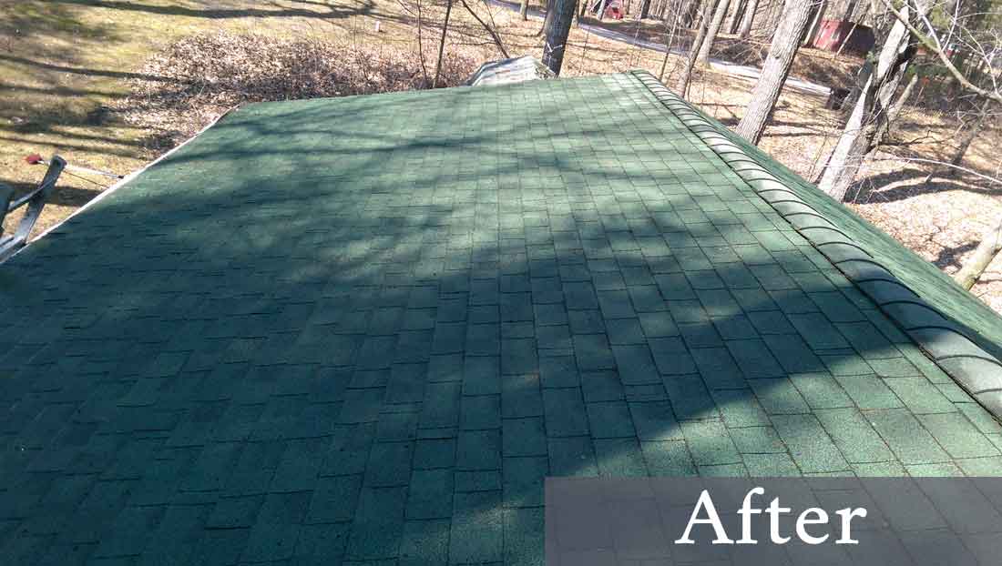 Algae Cleaning — Clean Green Roof in St, Iola, WI