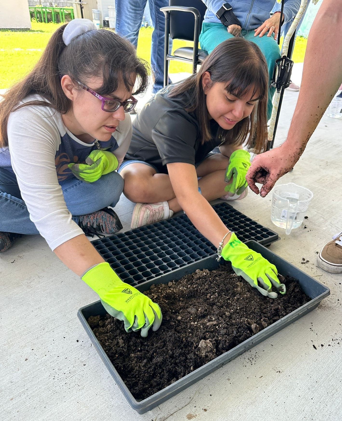 Two girls wearing green gloves are working on a tray of dirt.