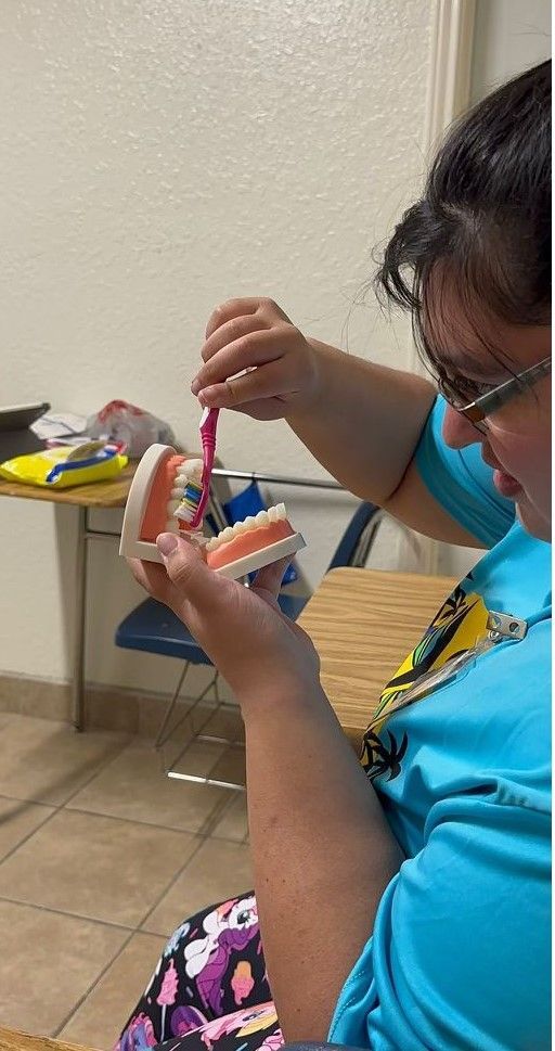 A woman is brushing her teeth on a model of teeth.