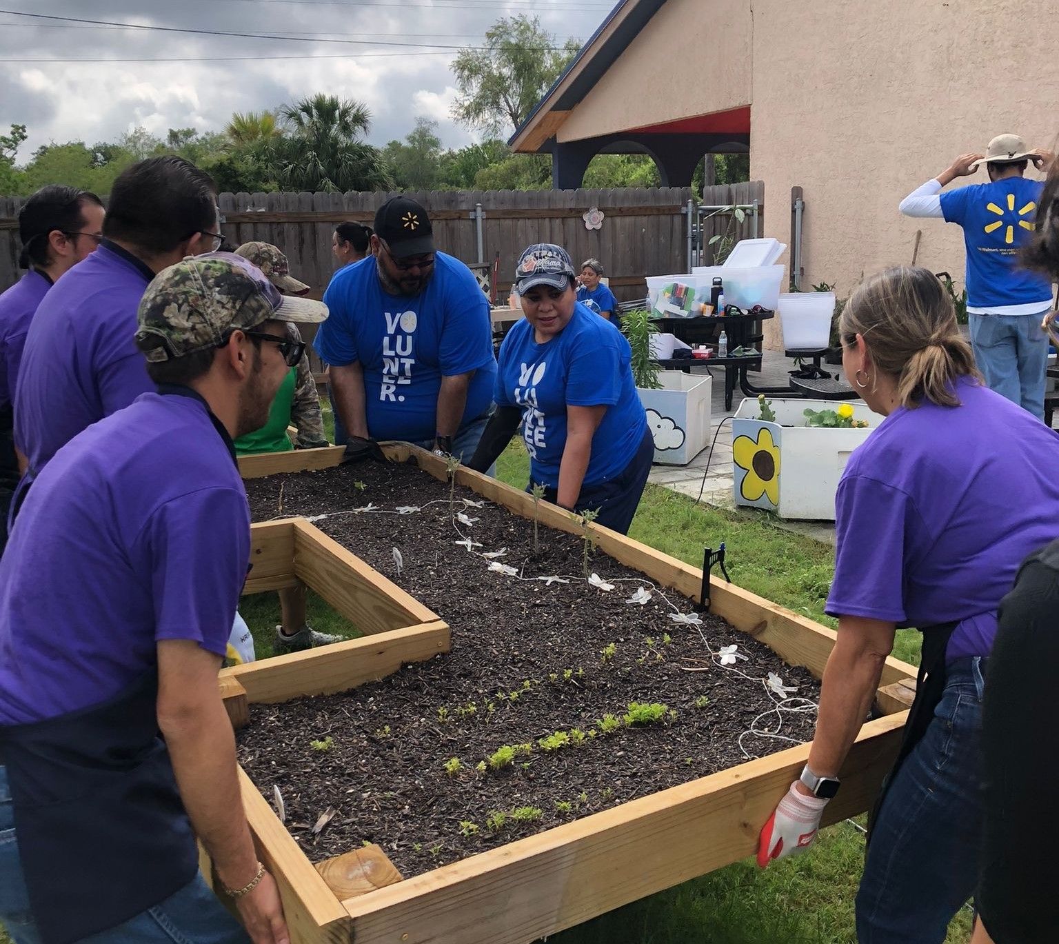 A group of people in purple shirts are working in a garden