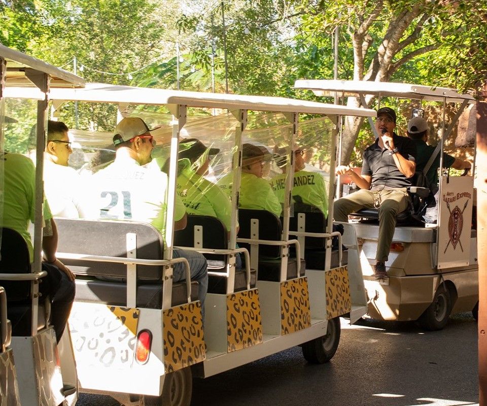 A group of people are riding in a cart with the number 21 on the back