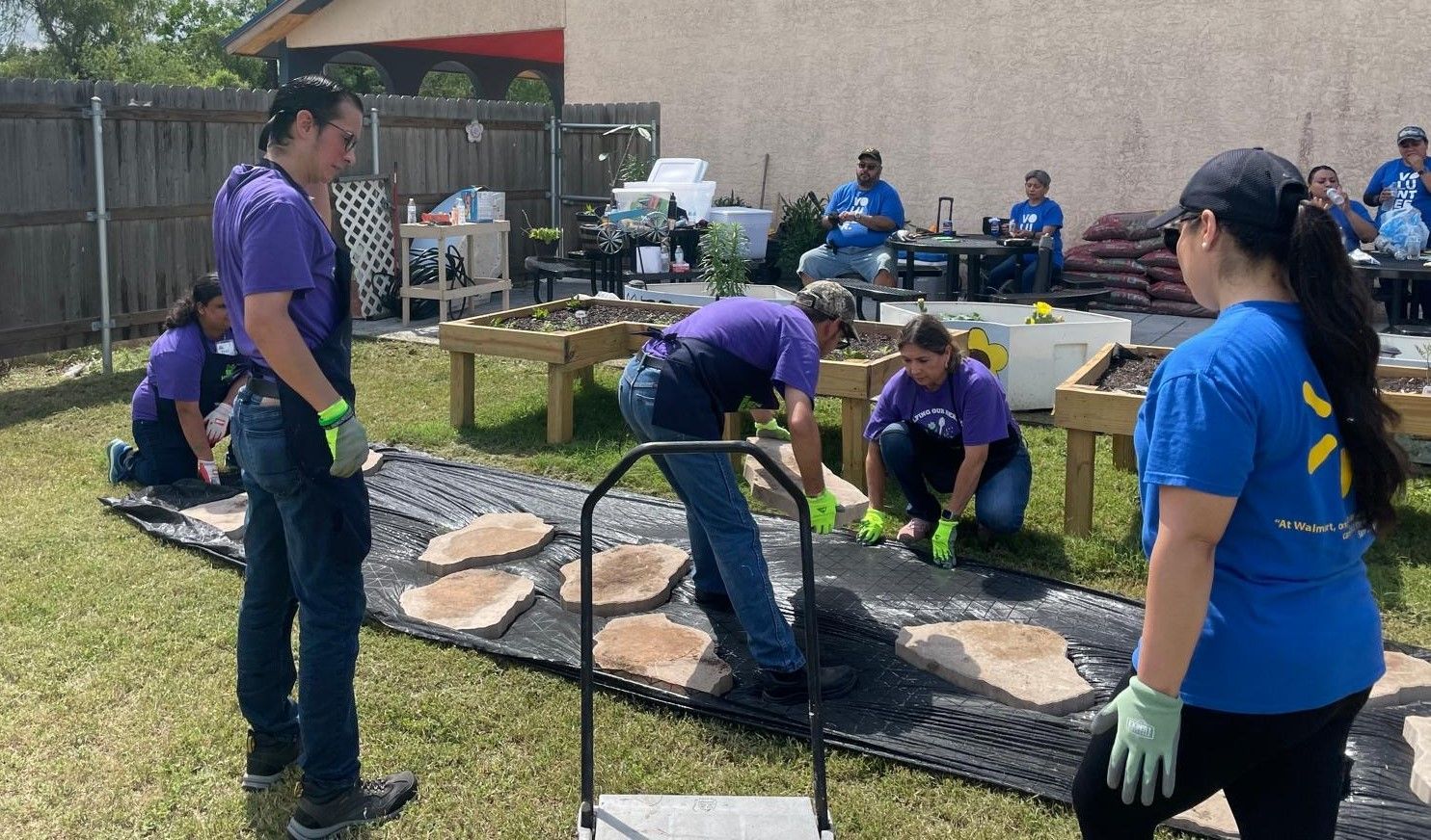 A group of people are working on a garden in a backyard.