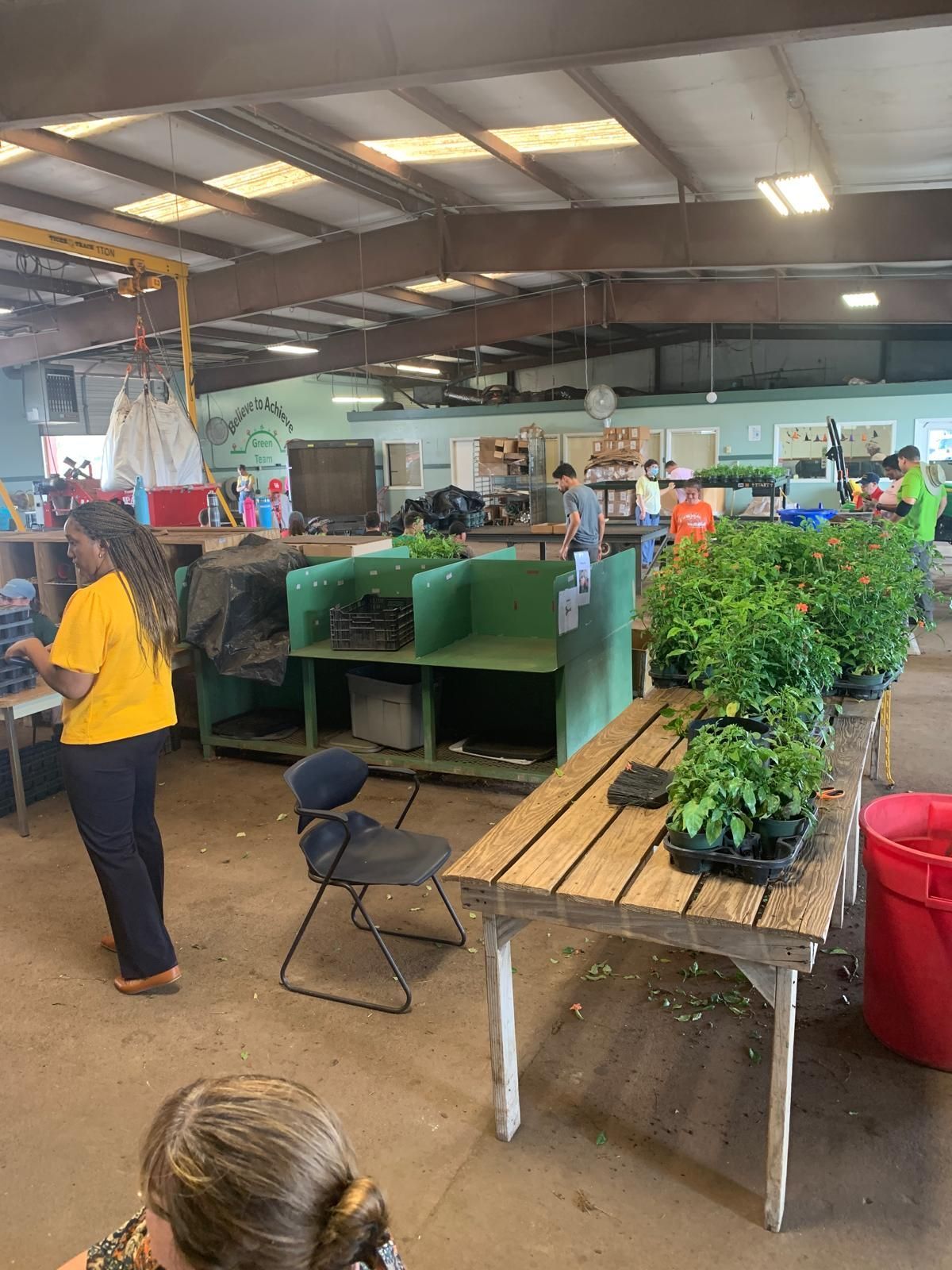 A woman in a yellow shirt is standing in a room filled with lots of potted plants.