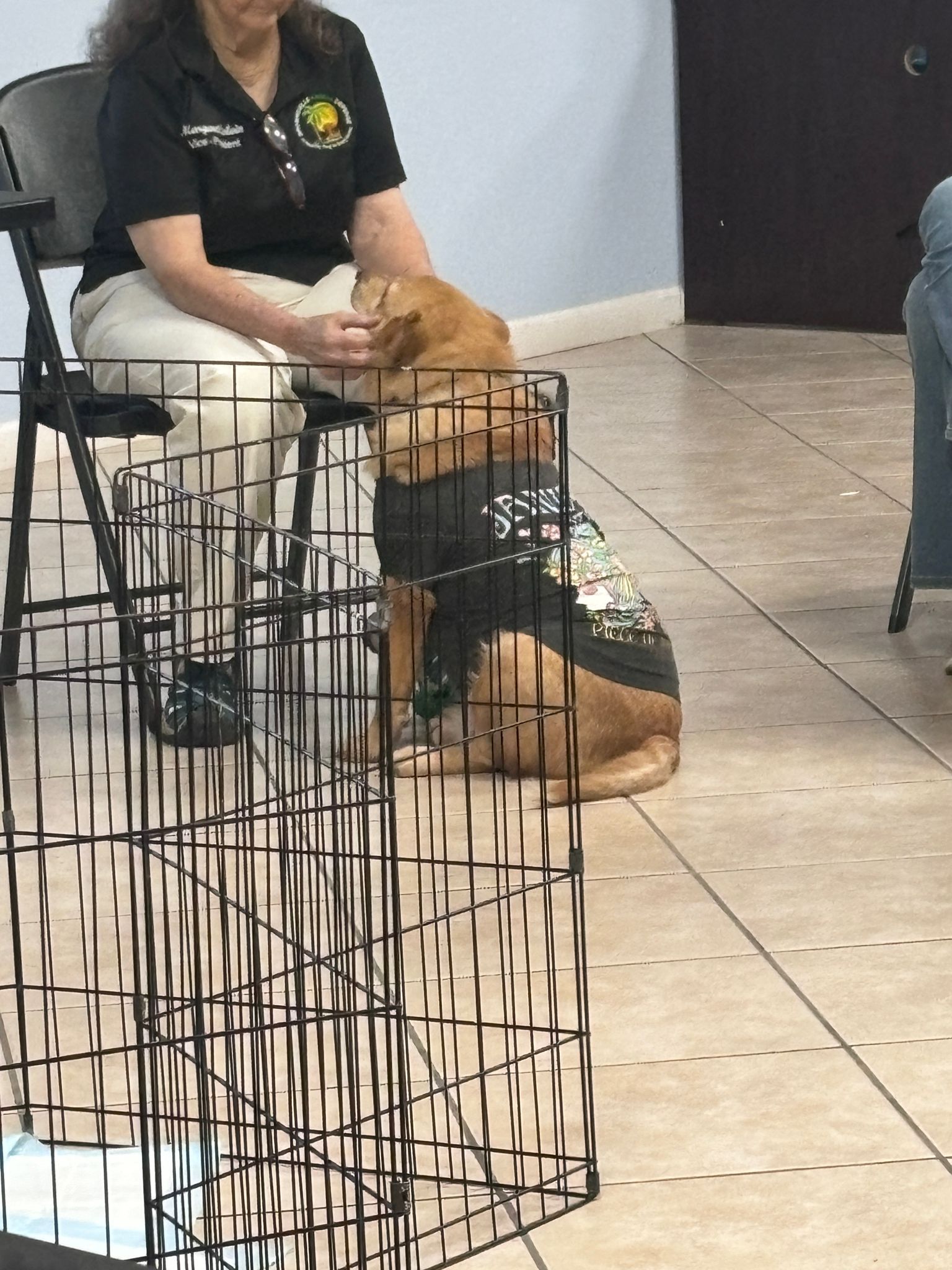 A woman is sitting in a chair next to a dog in a cage.
