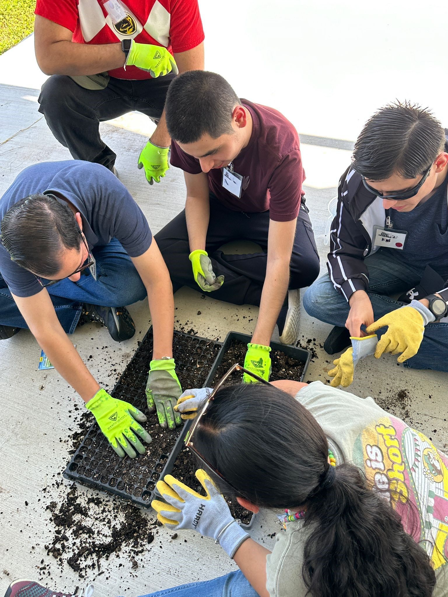 A group of people are kneeling on the ground working in the dirt.