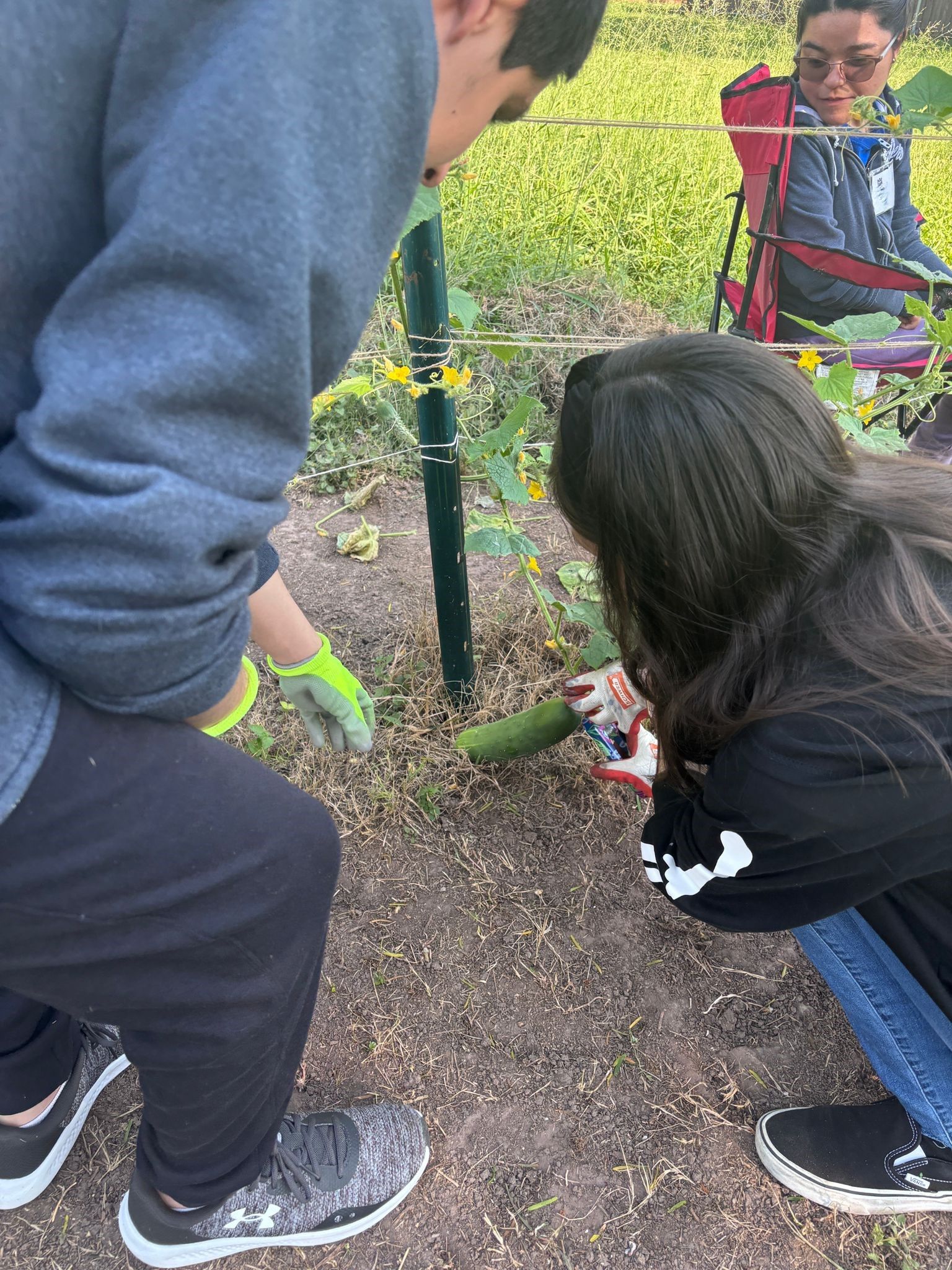A man and a woman are working in a garden.