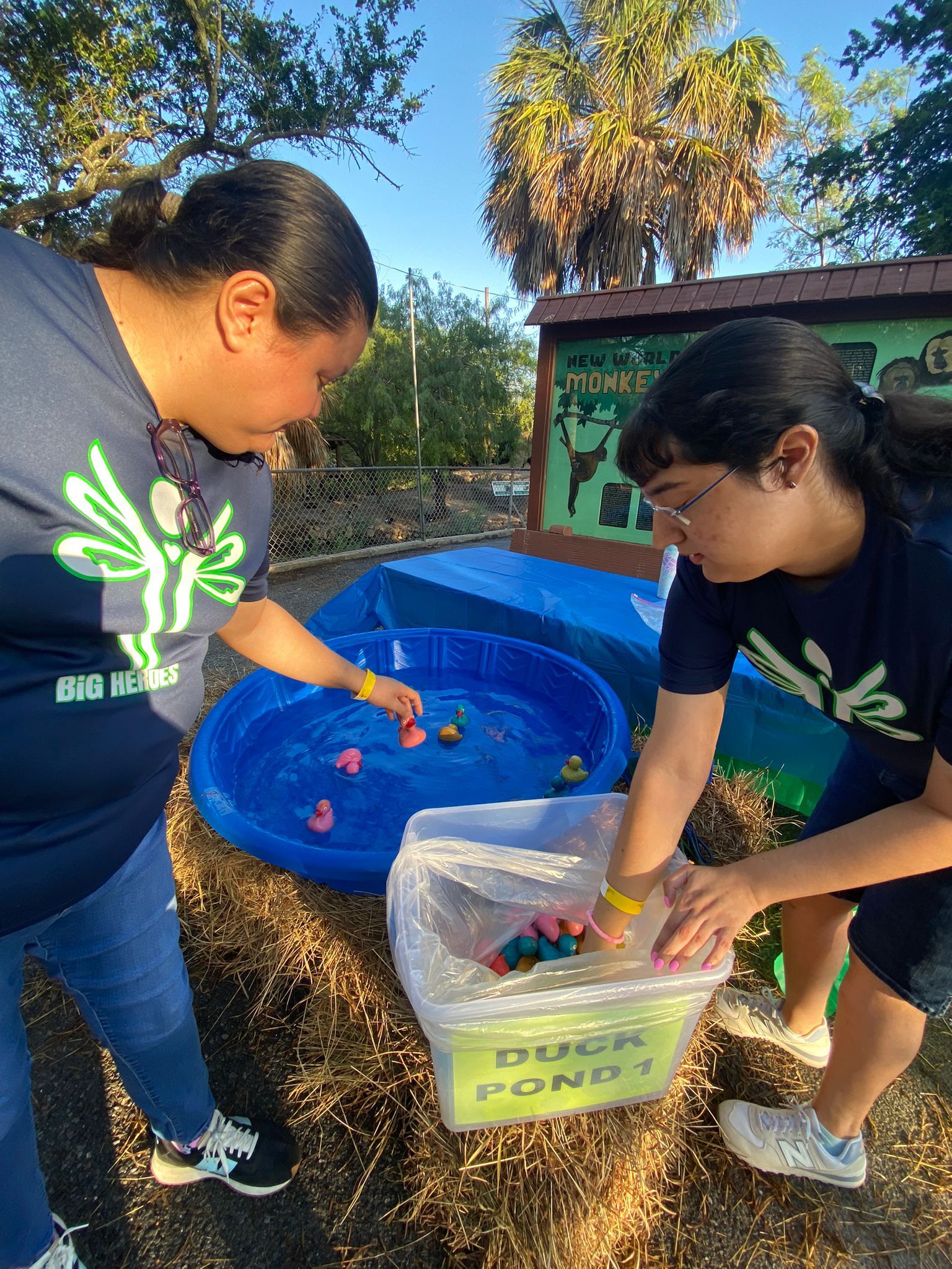 A woman and a girl are playing with rubber ducks in a pool.