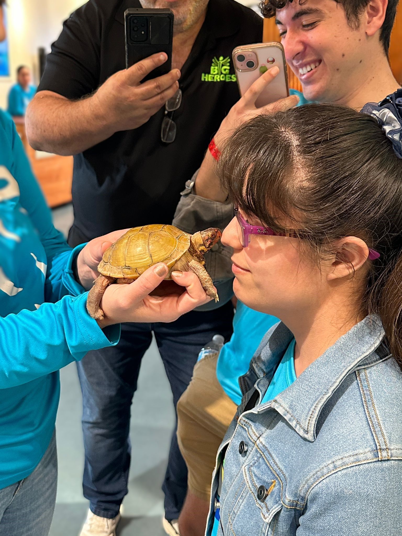 A group of people are holding a turtle in their hands.