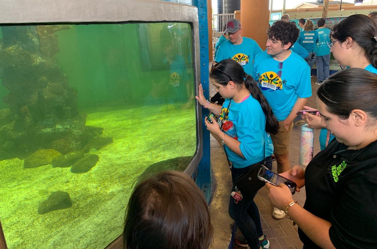 A group of people are looking at a fish tank.