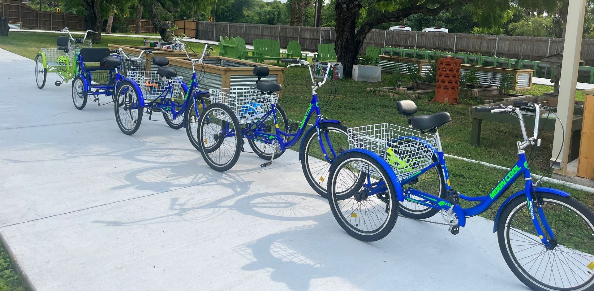 A row of three wheeled bicycles are parked on a sidewalk.