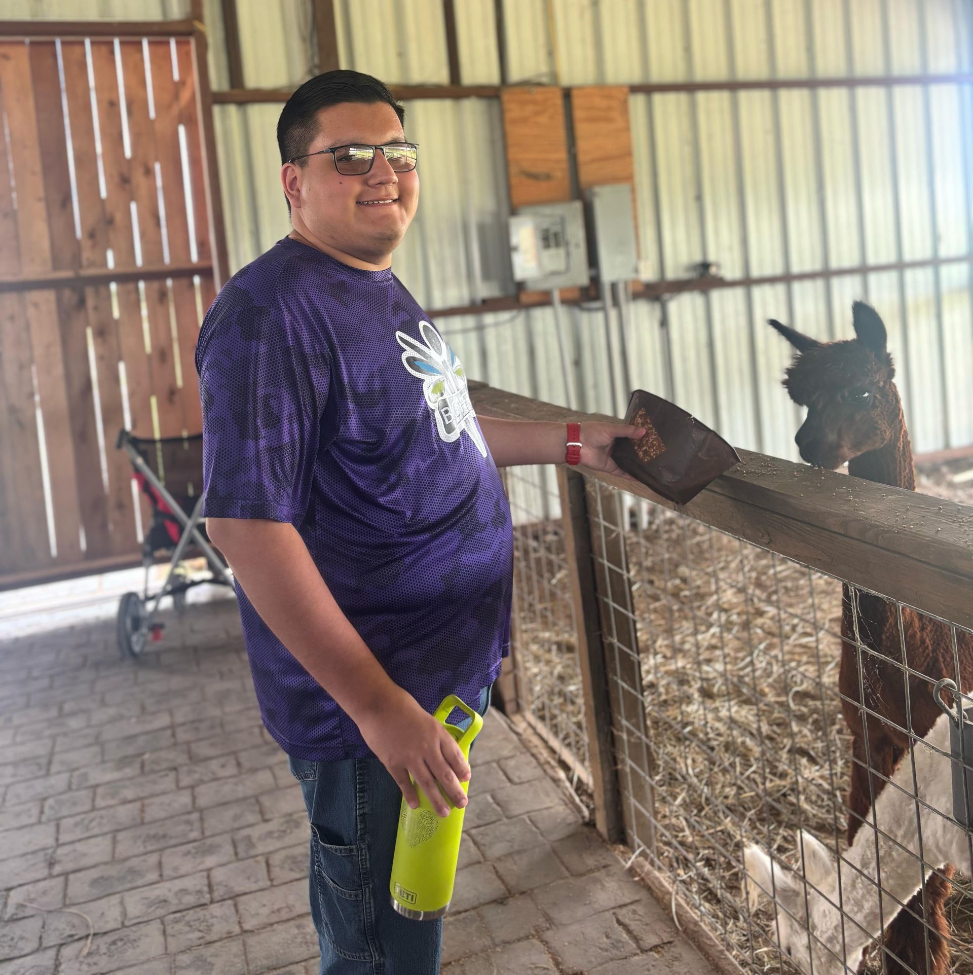 Man in purple shirt and sunglasses at a farm petting a brown llama.