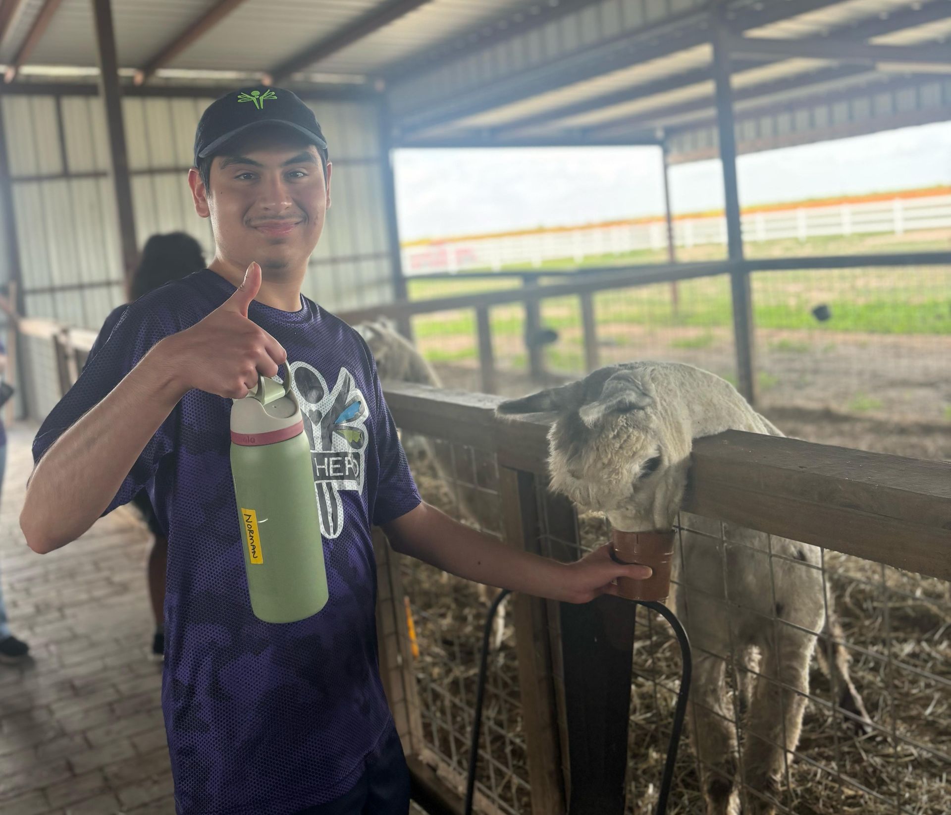 Person gives a thumbs up and feeds a calf at a barn.