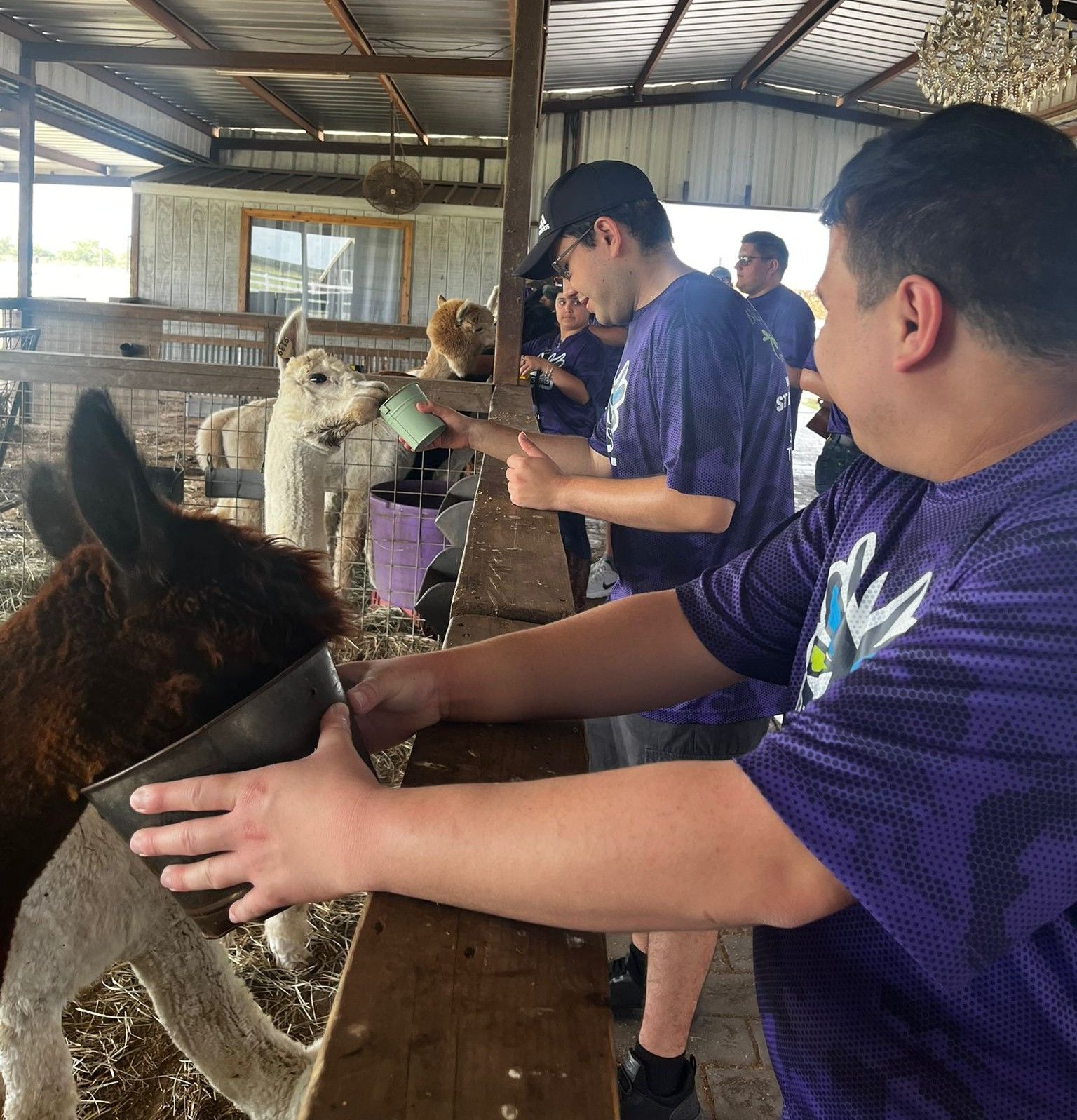 People feeding animals at a farm; person with disability smiles, others look on.