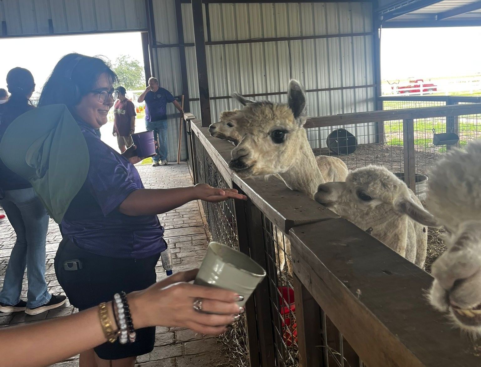 Woman feeds alpacas at a farm, smiling. Others look on.