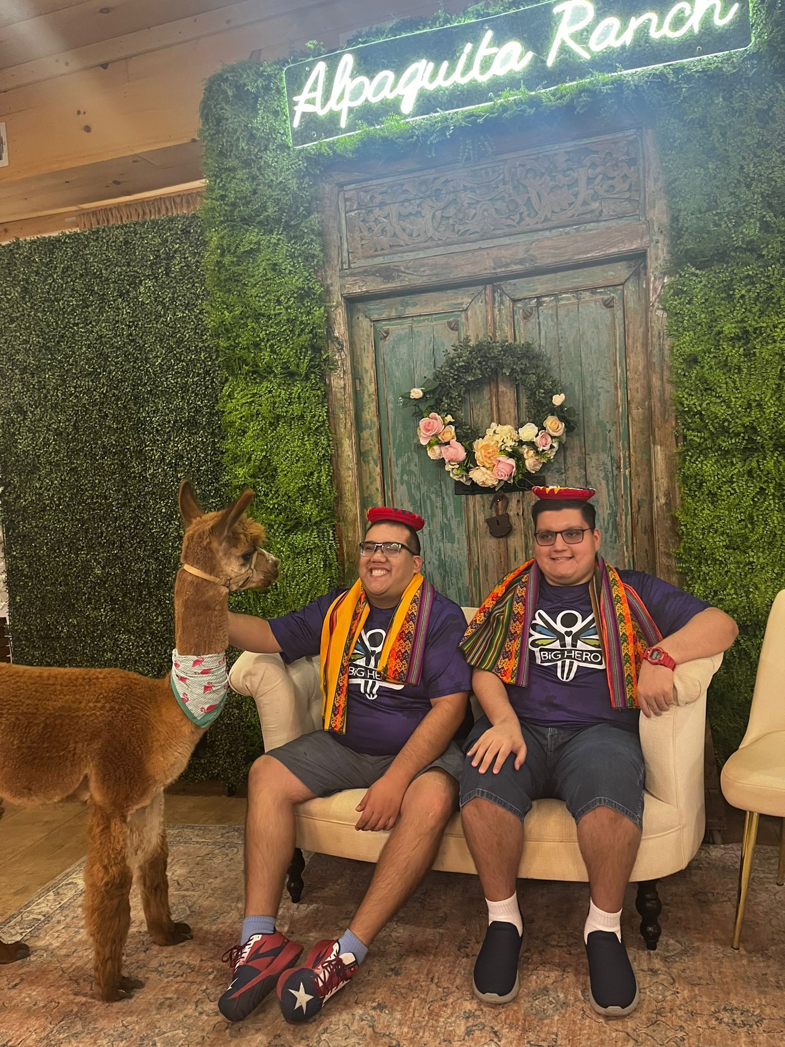 Two men with an alpaca pose on a couch at Alpaquita Ranch; green wall backdrop, colorful scarves, hats.