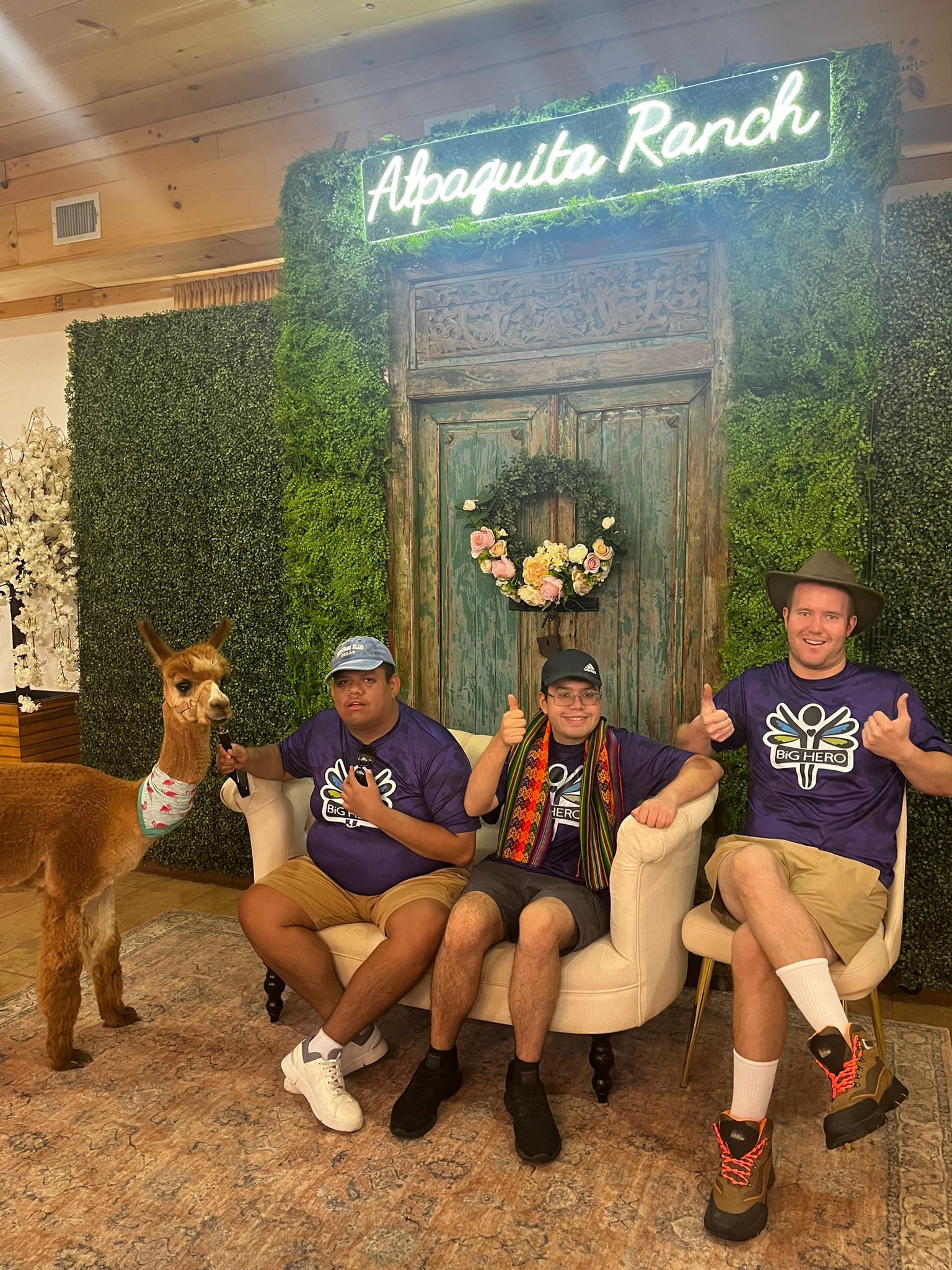 Three men, alpaca, and sofa in front of a green wall backdrop with