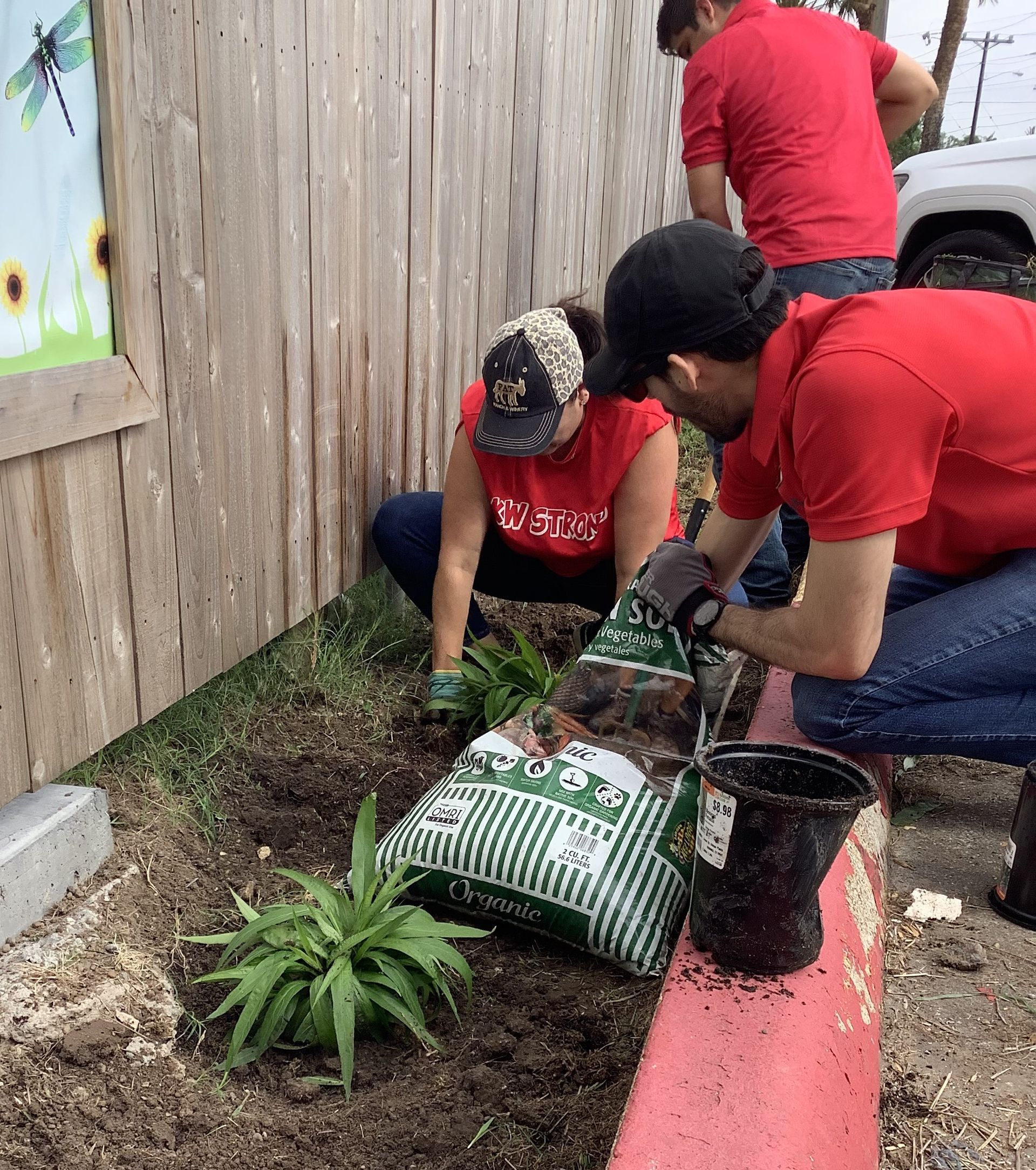 A group of people are planting plants in a garden.
