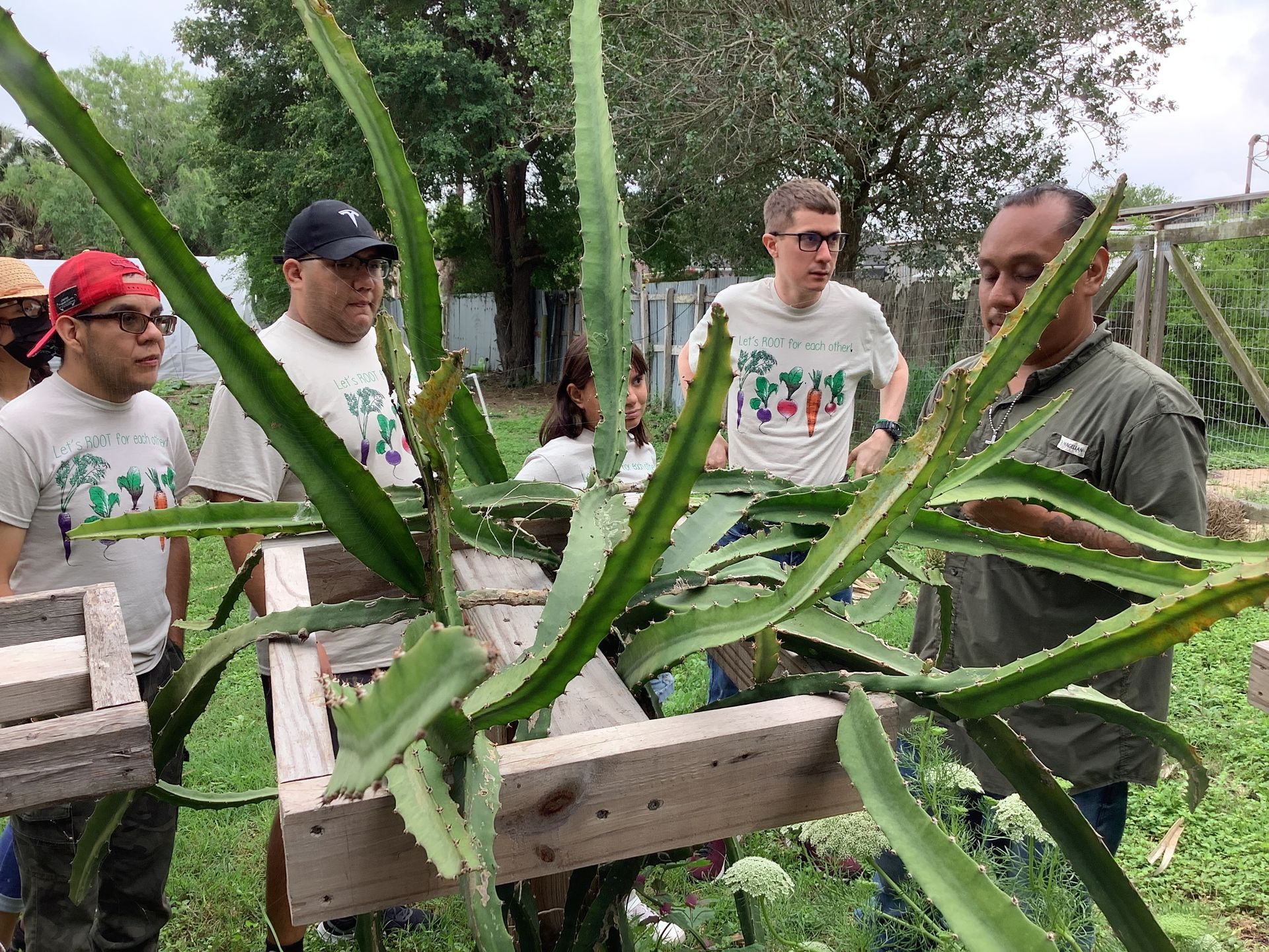 A group of men are standing around a plant in a field.