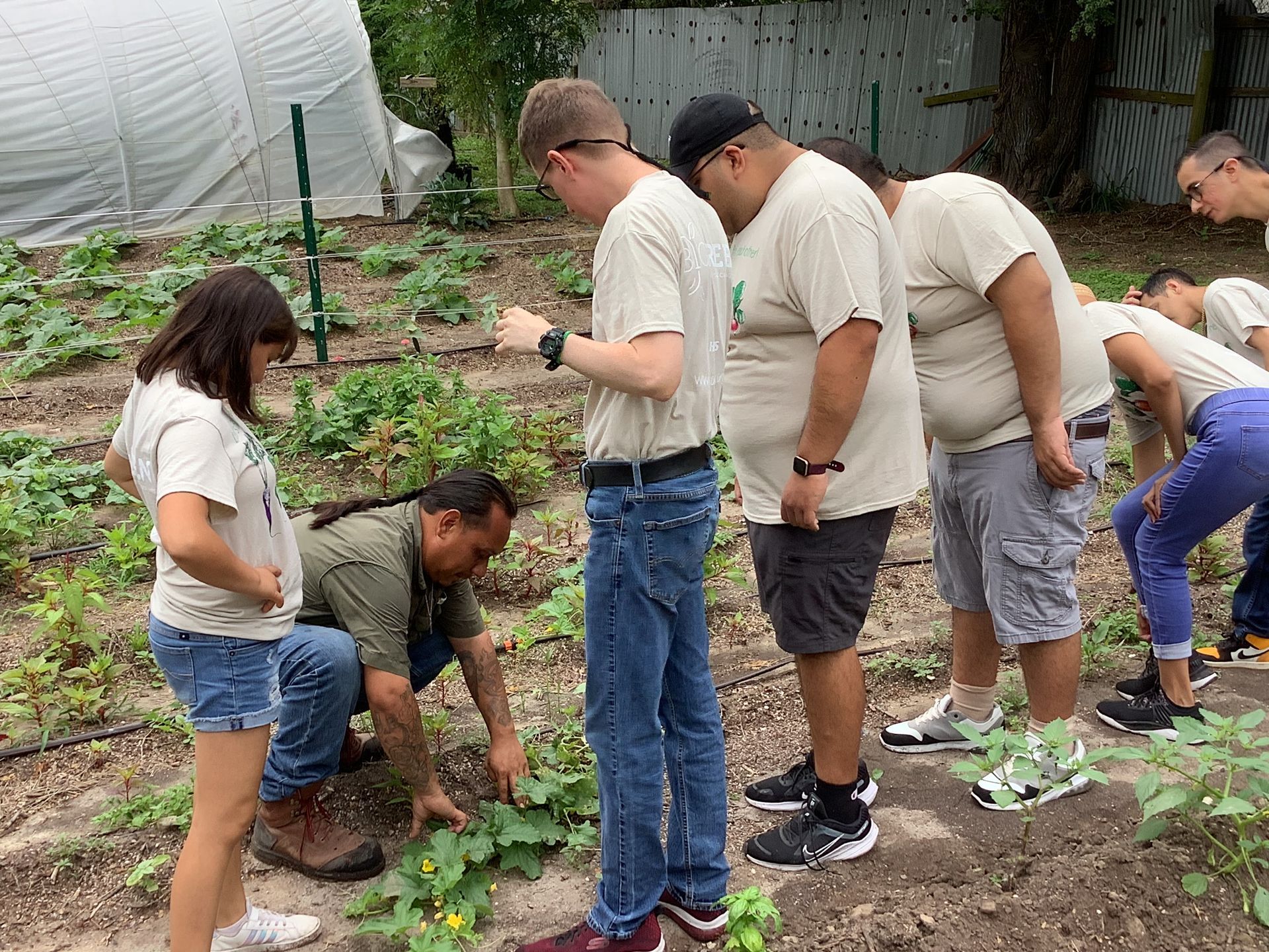 A group of people are standing in a garden looking at plants.