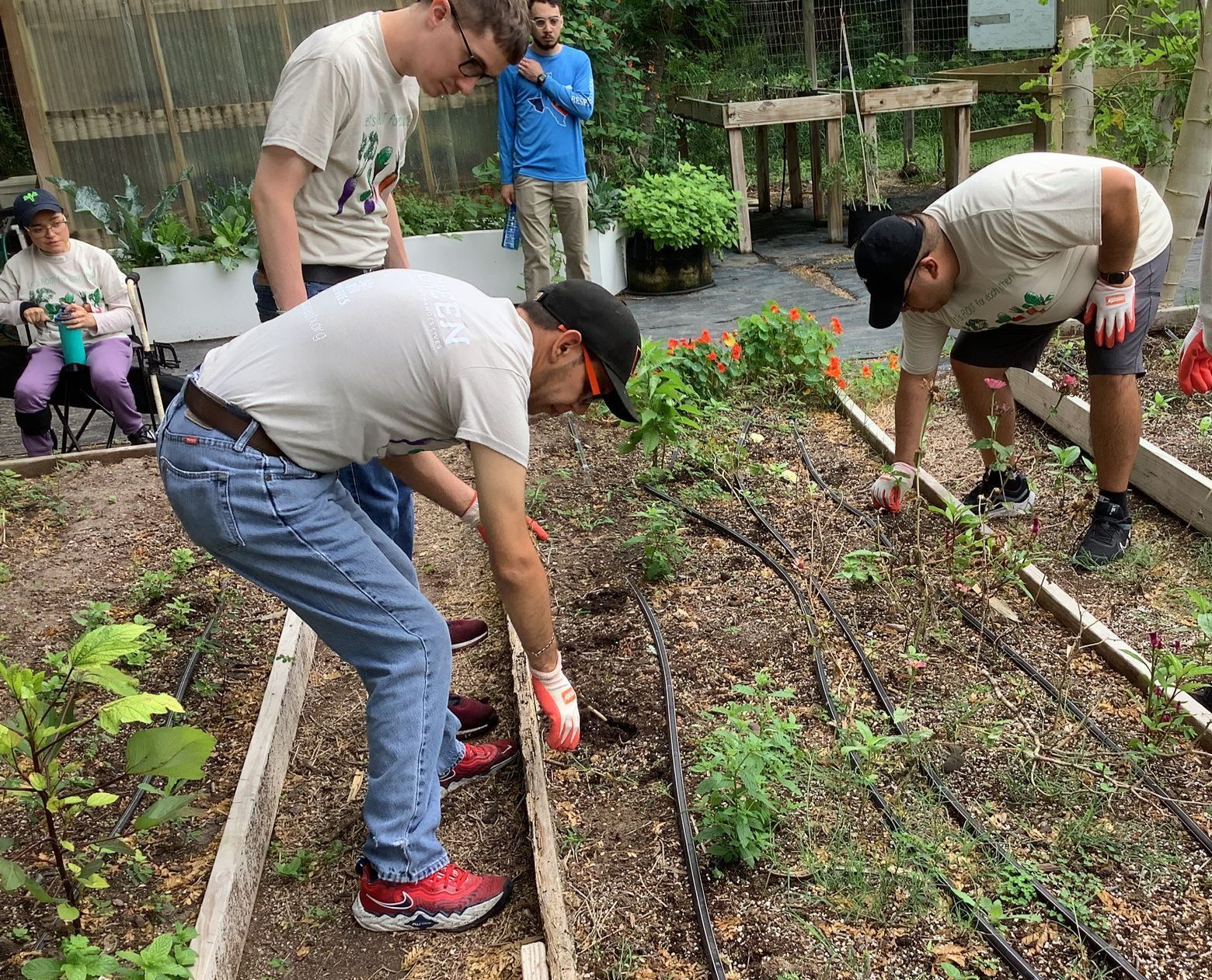 A group of young men are working in a garden.