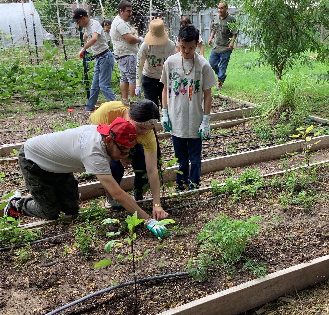 A group of people are working in a garden including a man wearing a shirt that says houston