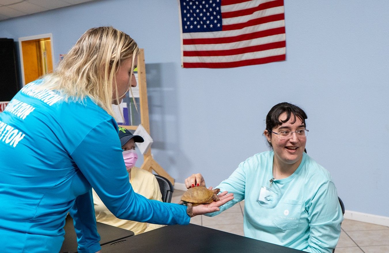 A woman in a blue shirt is giving a turtle to another woman.