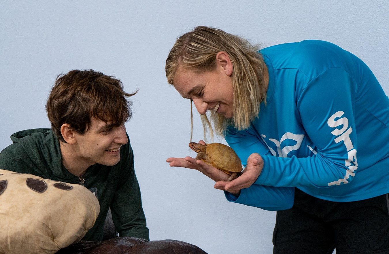 A man and a woman are looking at a turtle.