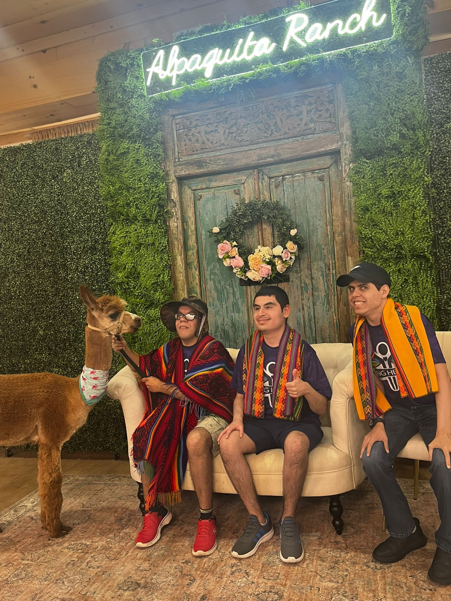 Three people and an alpaca posing on a couch in front of an Alpaca Ranch backdrop.