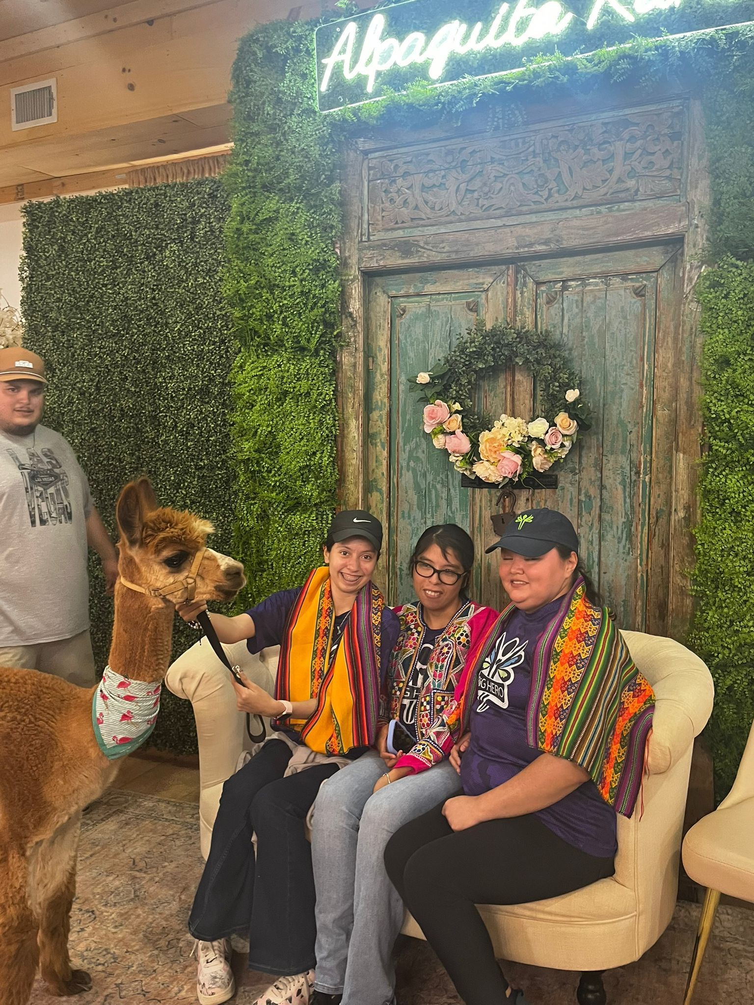 People with alpaca pose in front of a floral backdrop and vintage door, a sign reading