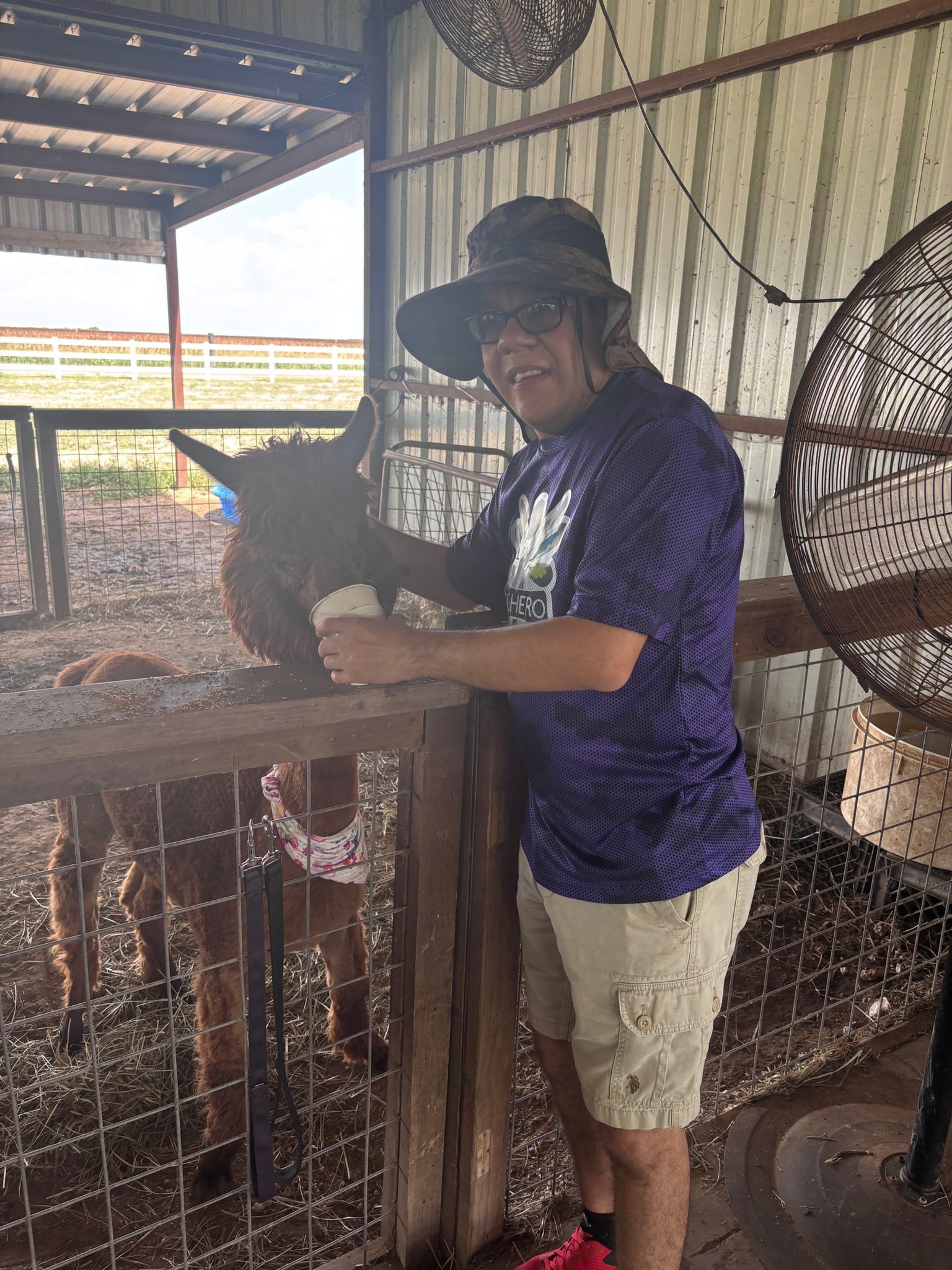 Man in hat pets a donkey at a farm. He smiles, wearing a purple shirt and khaki shorts.