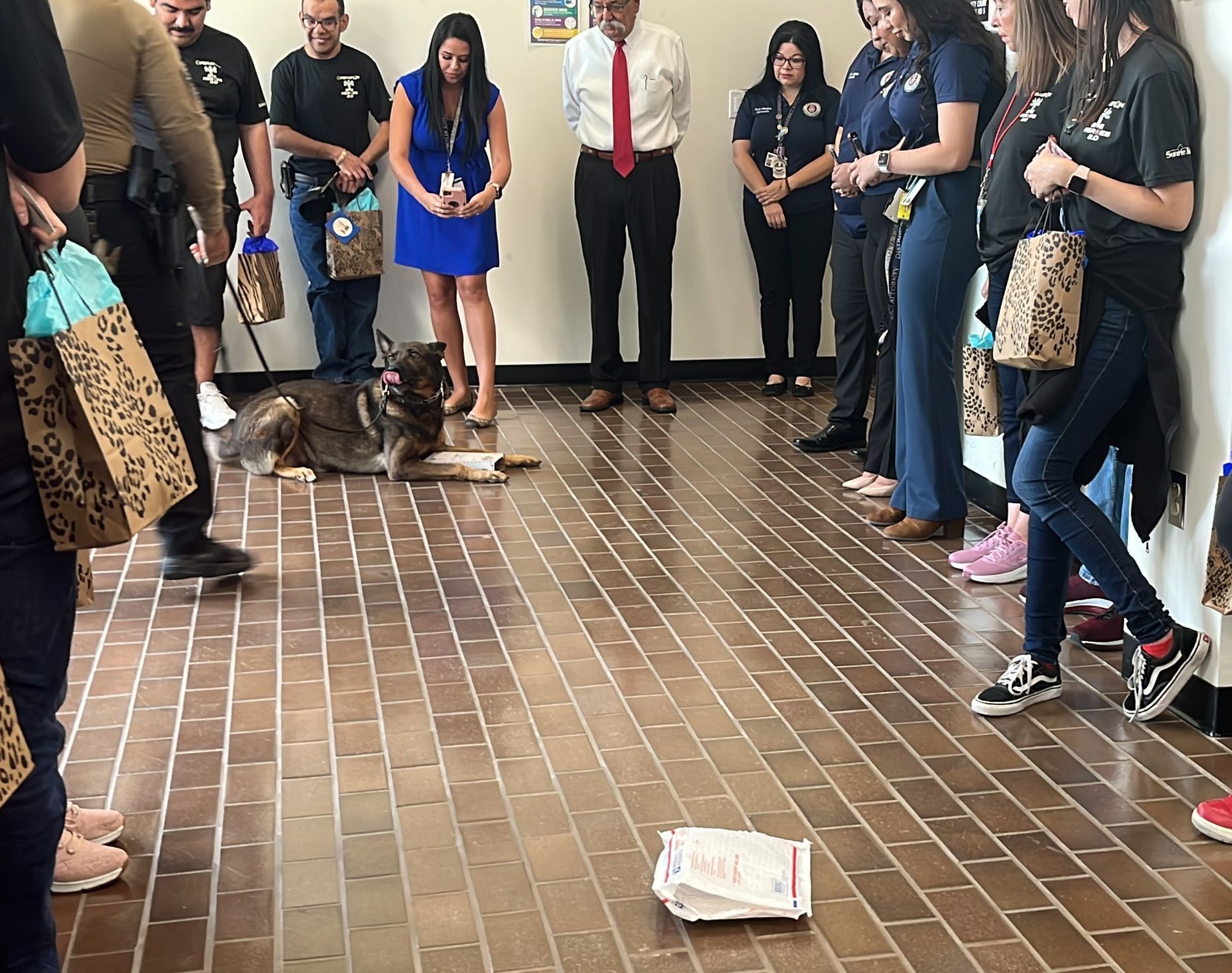 A group of people standing around a dog on a tiled floor.