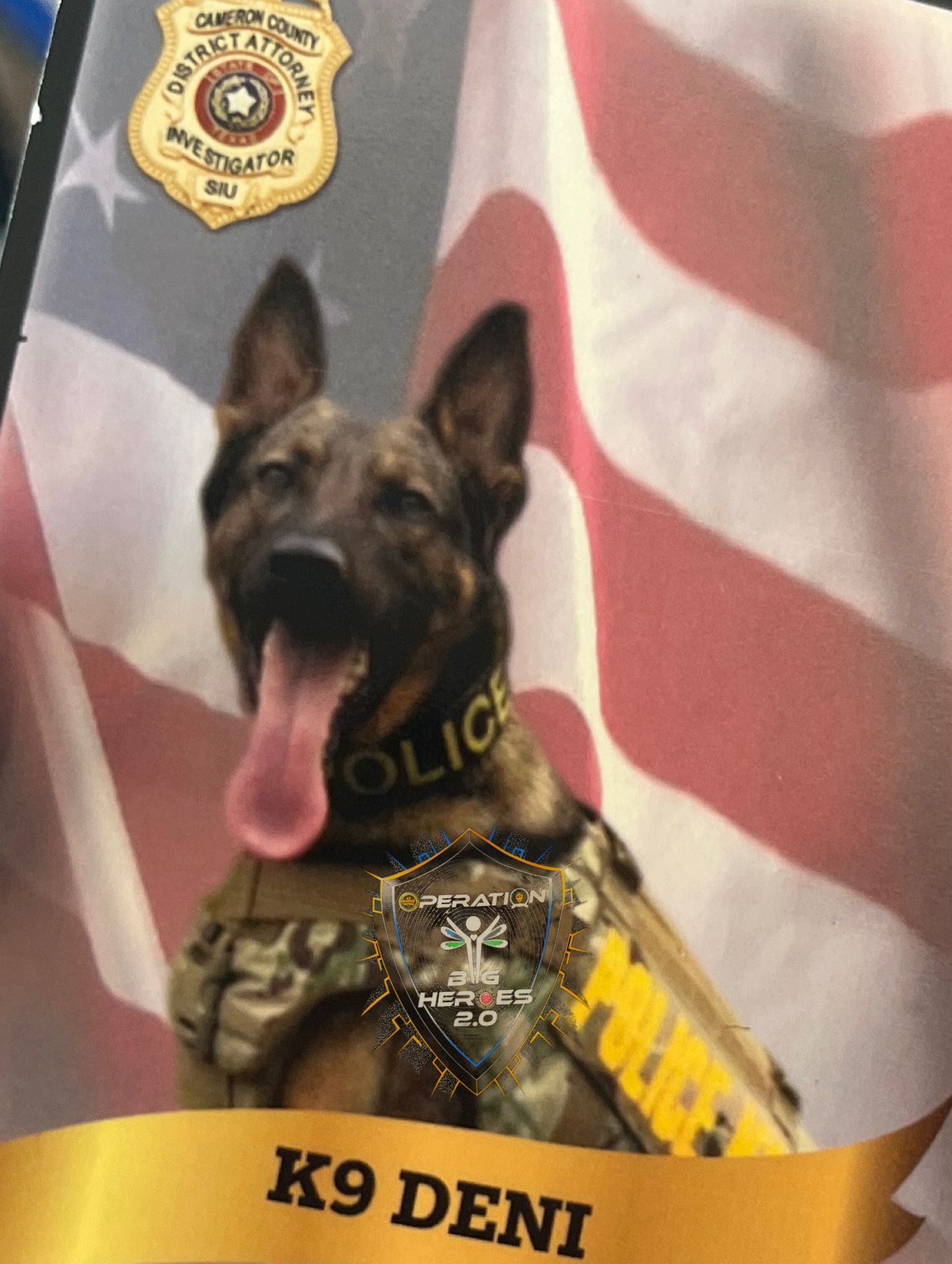 A picture of a police dog named k9 deni
