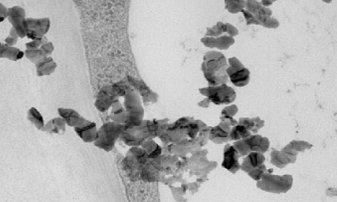 fertilizantes