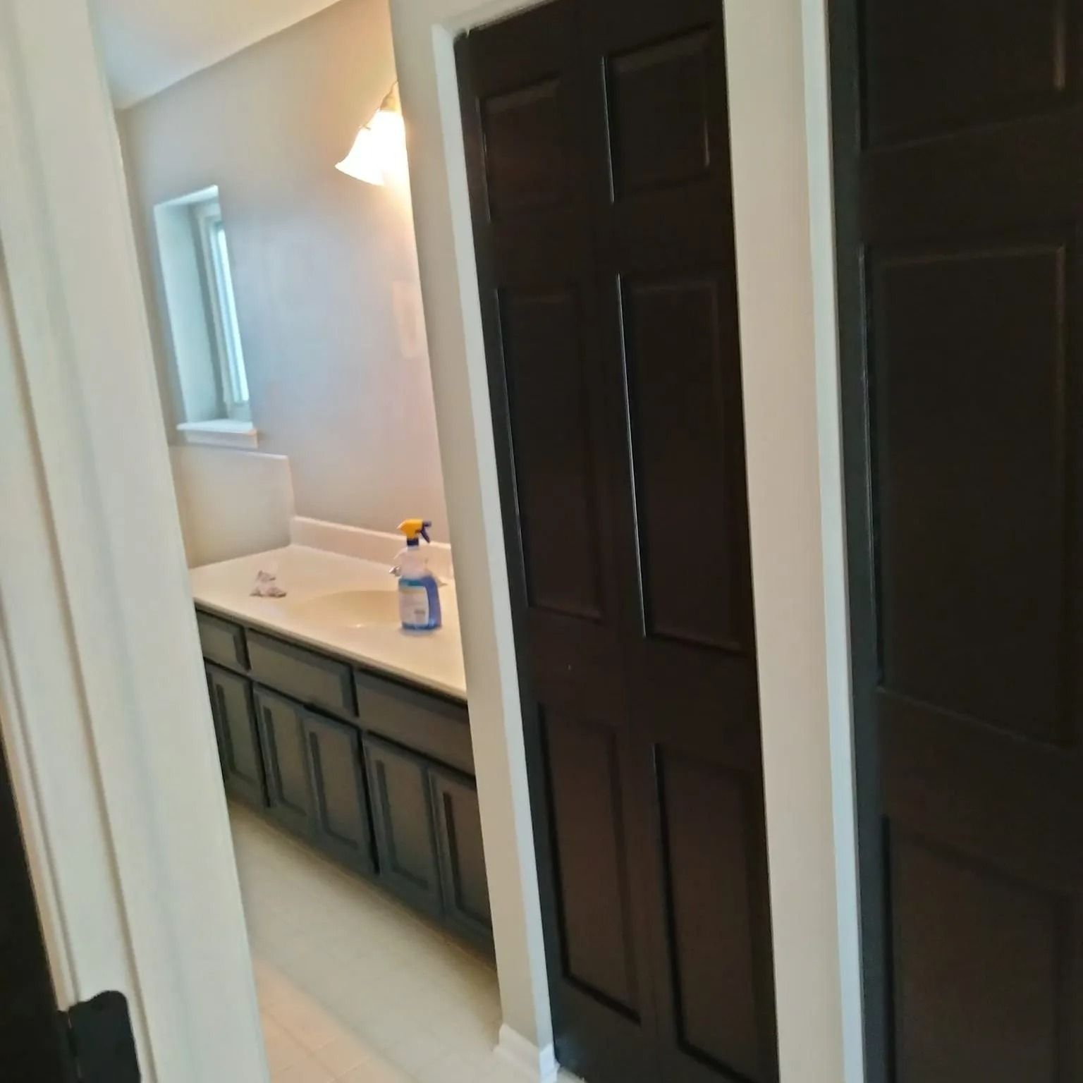 Bathroom interior with black cabinets, brown doors, and light gray walls.