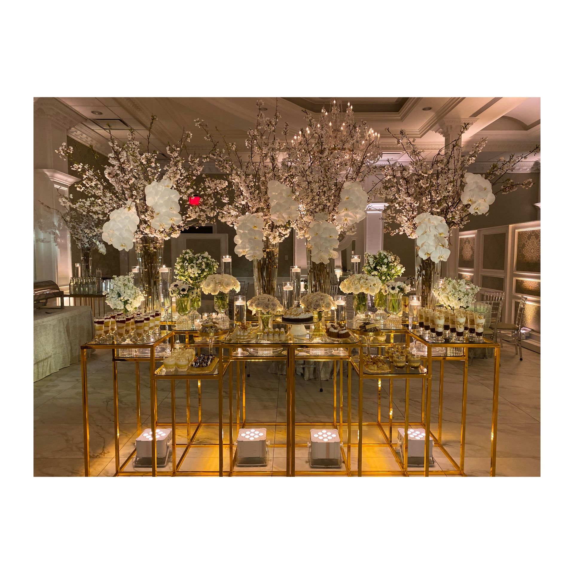 Aurelia Multi-Tier Display