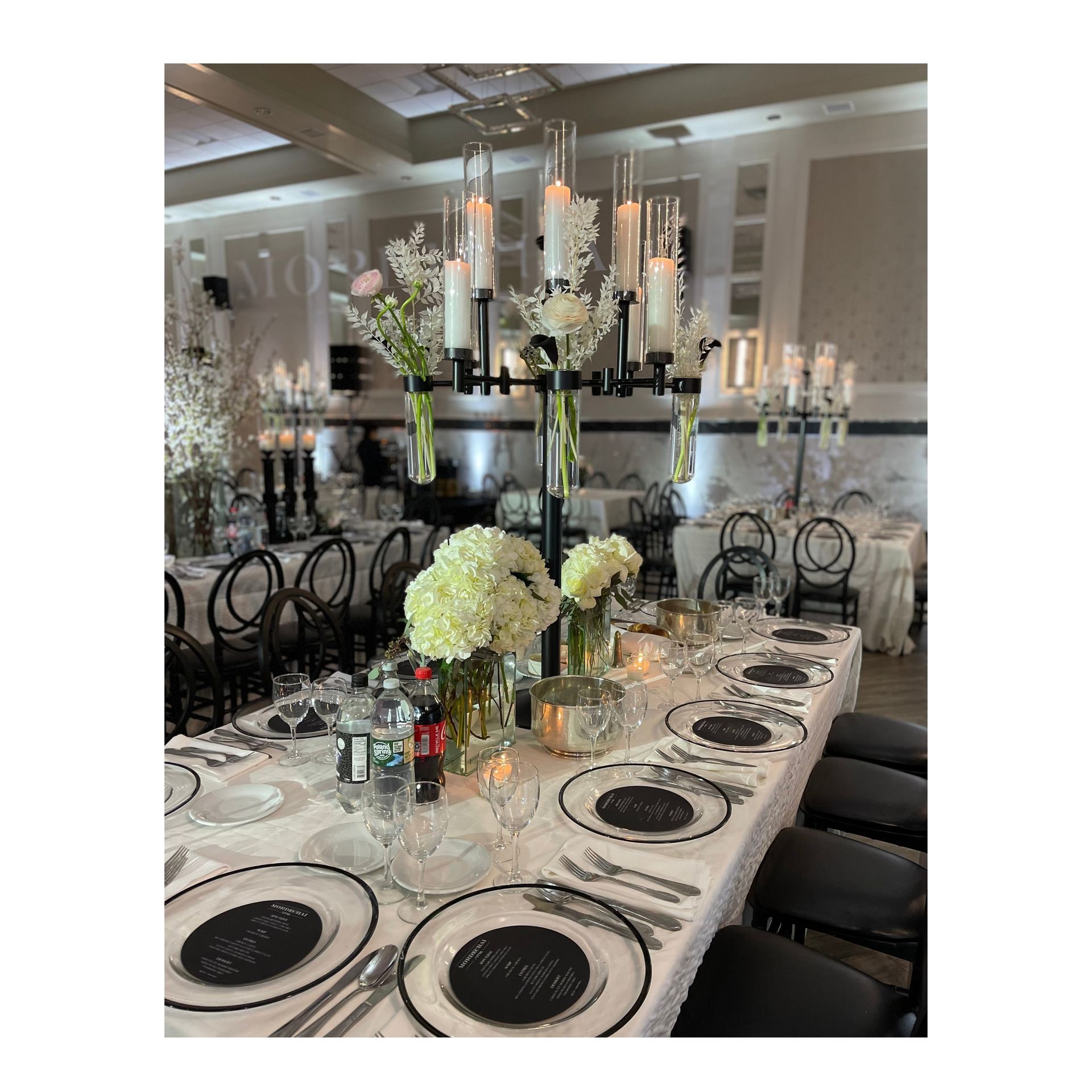 Noir Botanical Candelabra