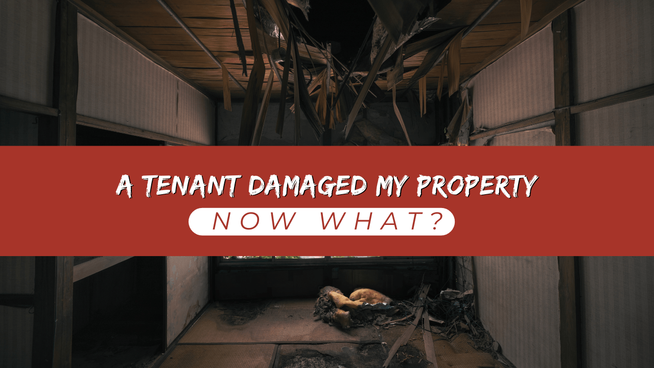 A Tenant Damaged My Property, Now What? - Article Banner