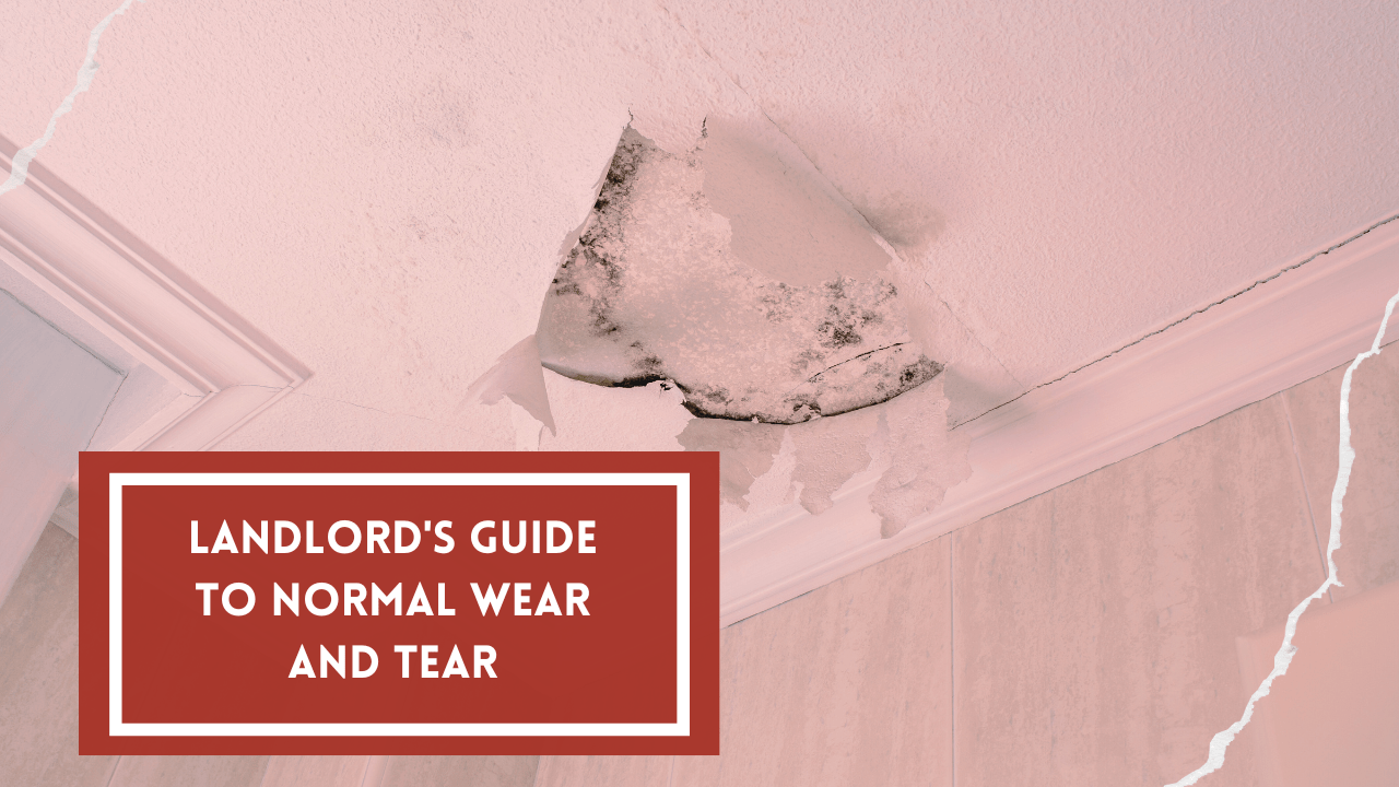 Landlord's Guide to Normal Wear and Tear - Article Banner