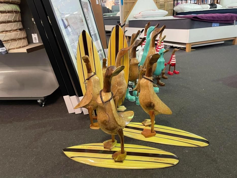 A Group of Wooden Ducks Standing on Surfboards in a Store — P.A.M. Furnishings Pty Ltd In Yeppoon, QLD