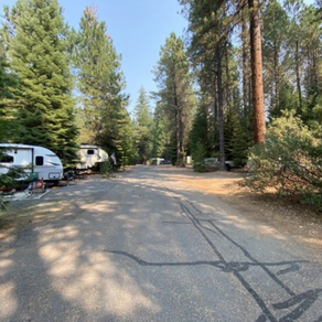 A rv parked on the side of a road surrounded by trees.