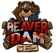beaver dam dive shop logo