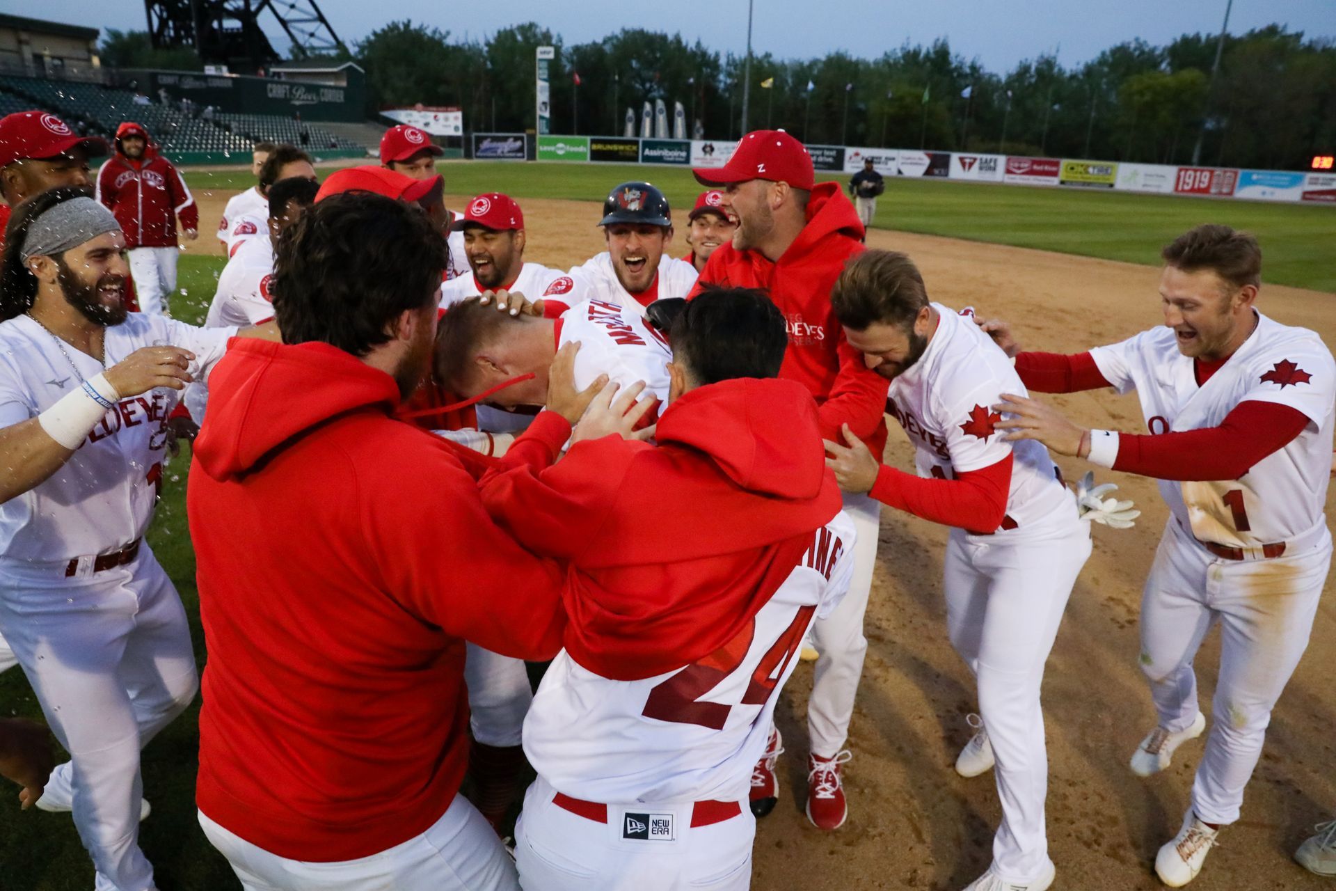 goldeyes-down-cougars-in-thriller