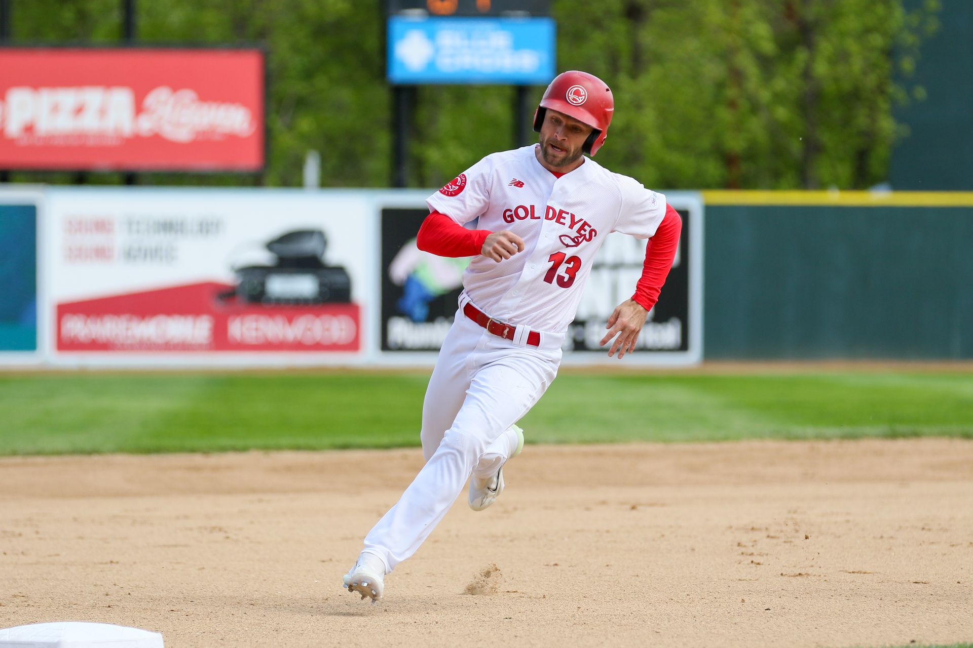 goldeyes-unable-to-collar-dockhounds