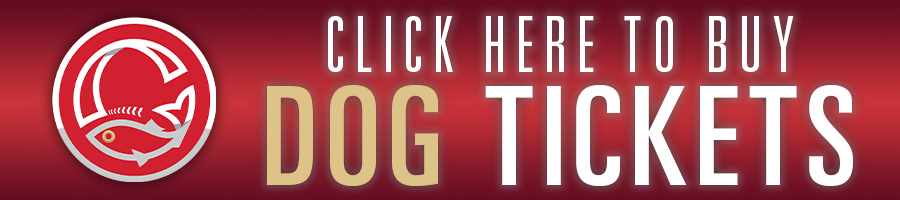 Get Bark in the Park Tickets Here