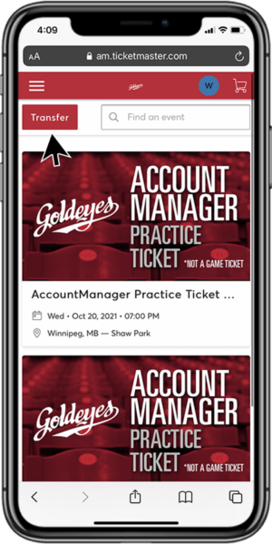 Tips for Buying Winnipeg Goldeyes Tickets