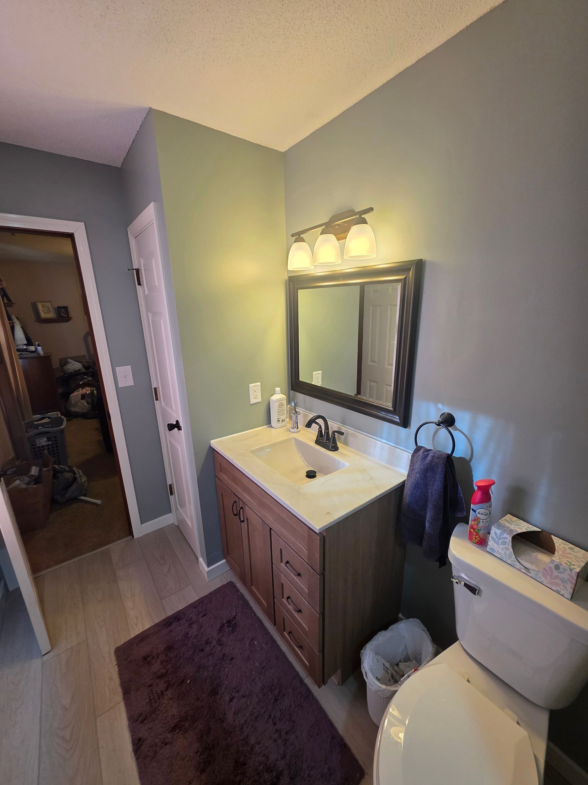 Bathroom with a brown vanity, a white toilet, and green walls. A purple rug is on the floor.