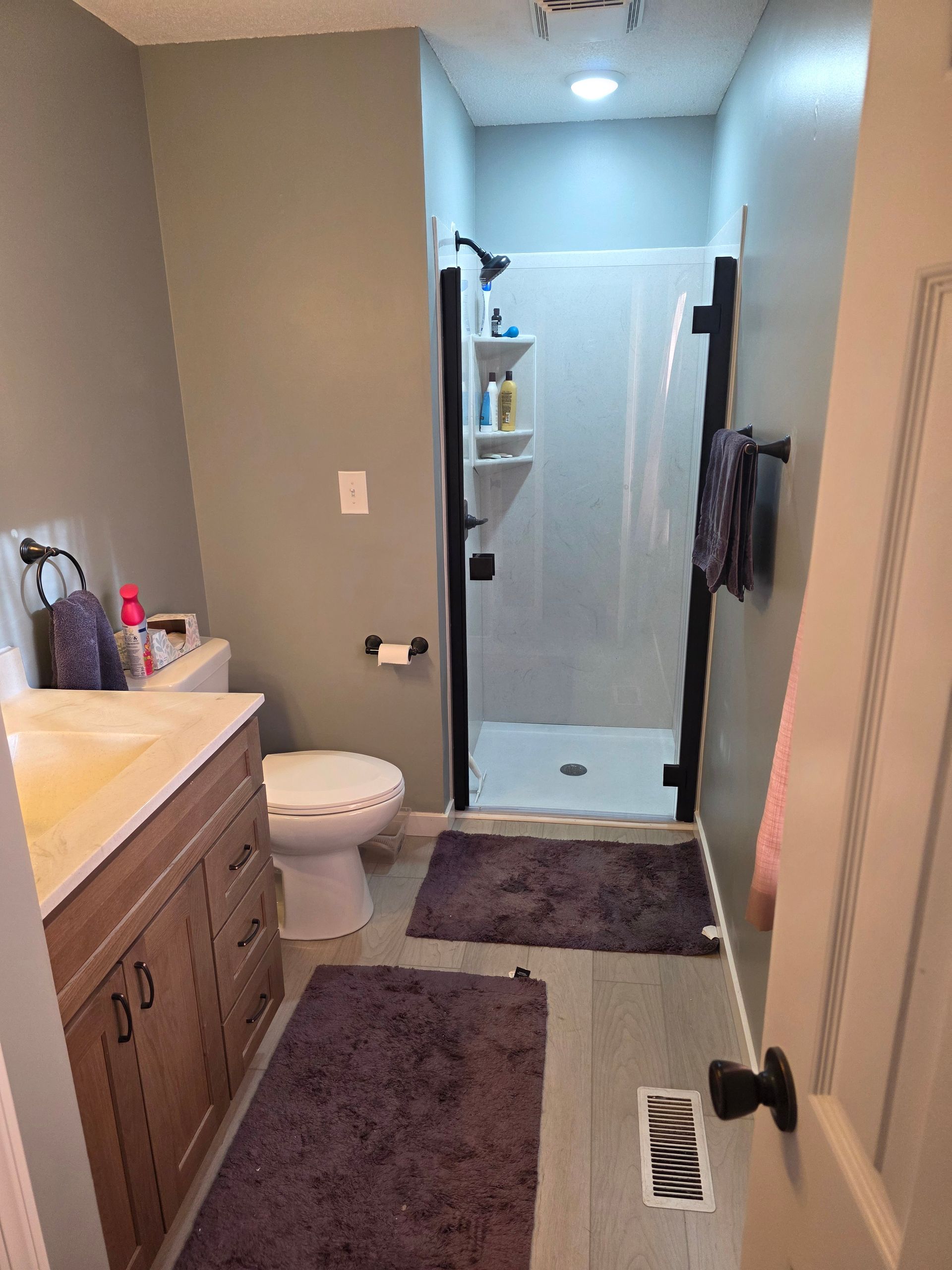 Bathroom with a wooden vanity, mirror, toilet, and purple rug. Walls are painted blue-green.